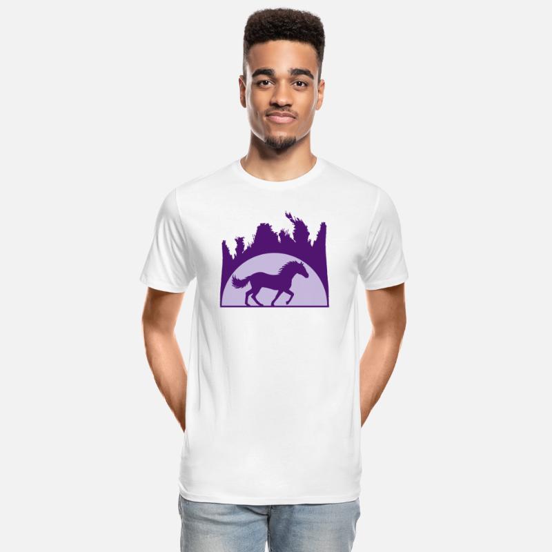 sun beach palm horse