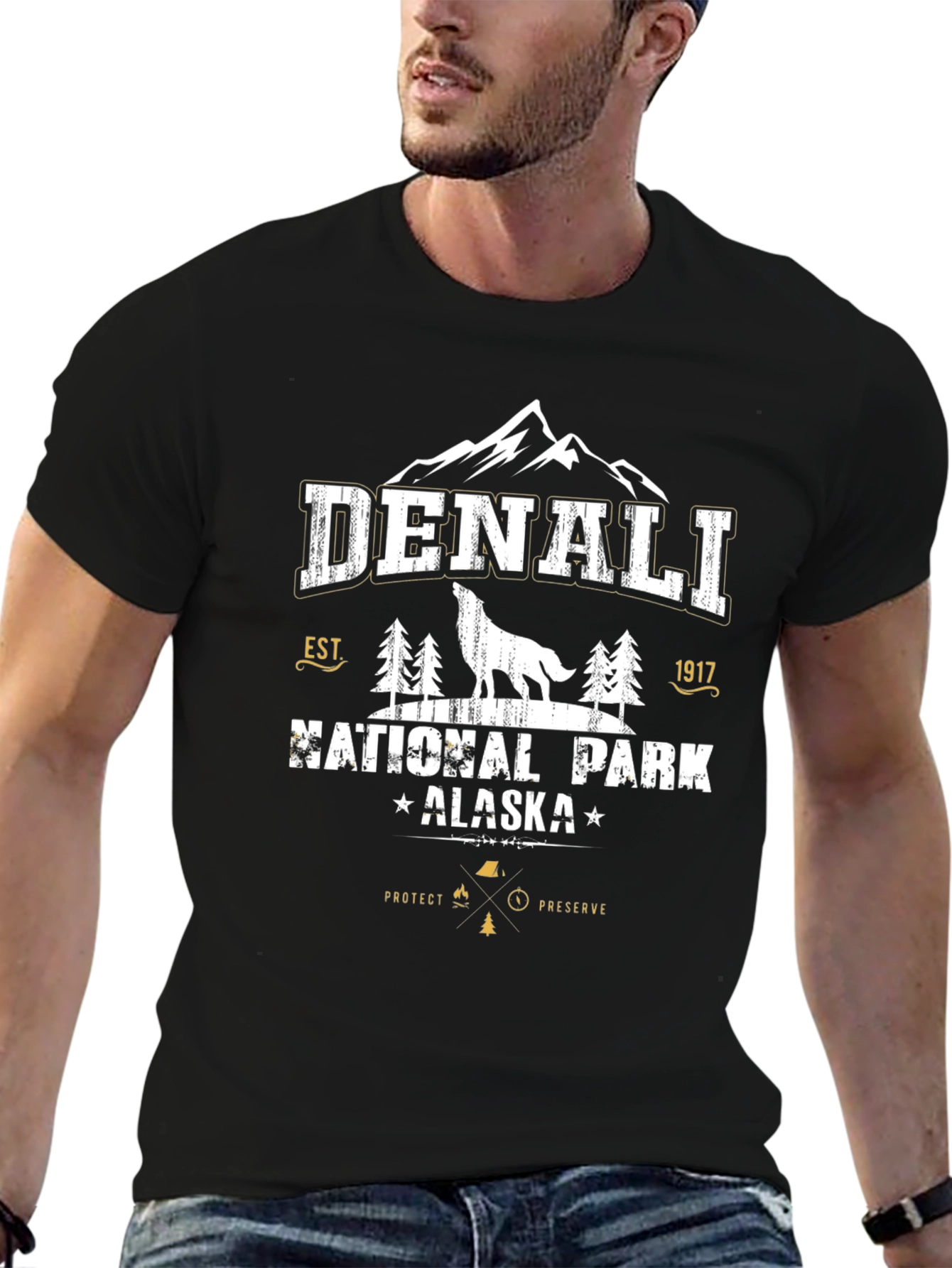 Denali National Park Black T-Shirt