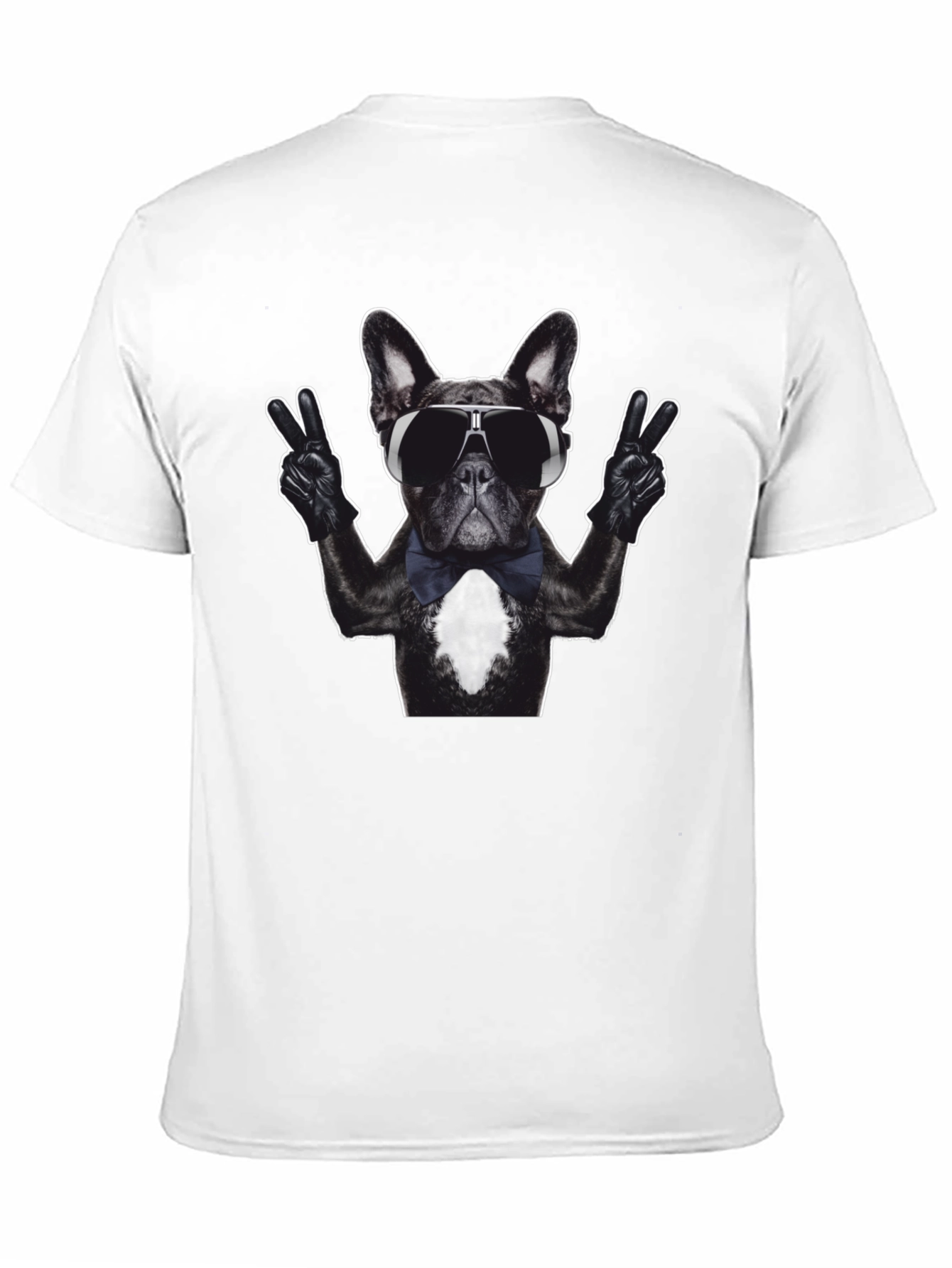 Cool Dog Graphic T-Shirt