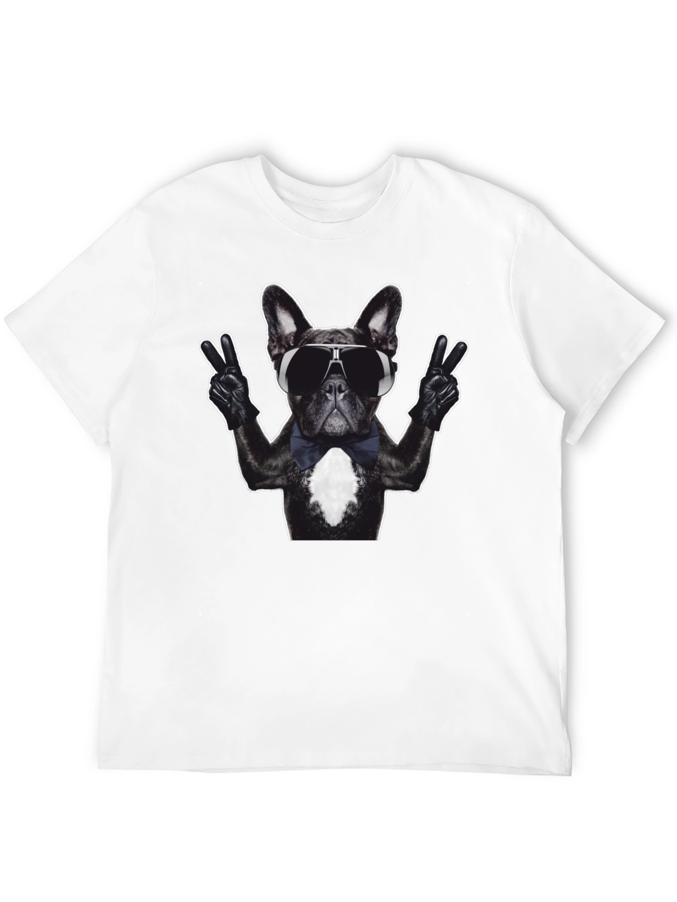 Cool Dog Graphic T-Shirt