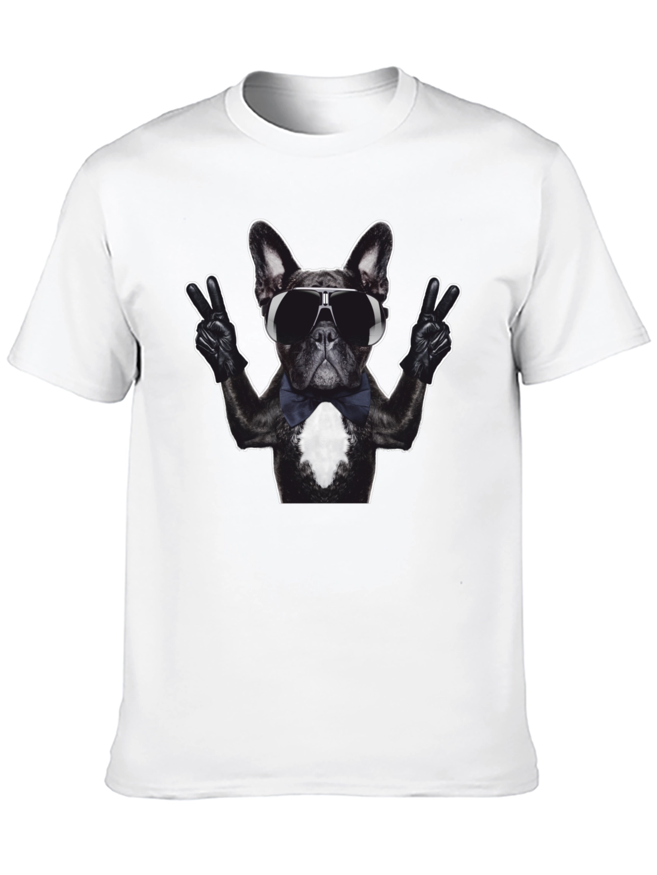 Cool Dog Graphic T-Shirt