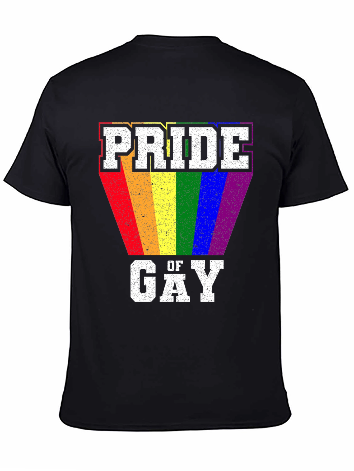 Pride of Gay T-Shirt LGBT Rainbow Graphic Tee