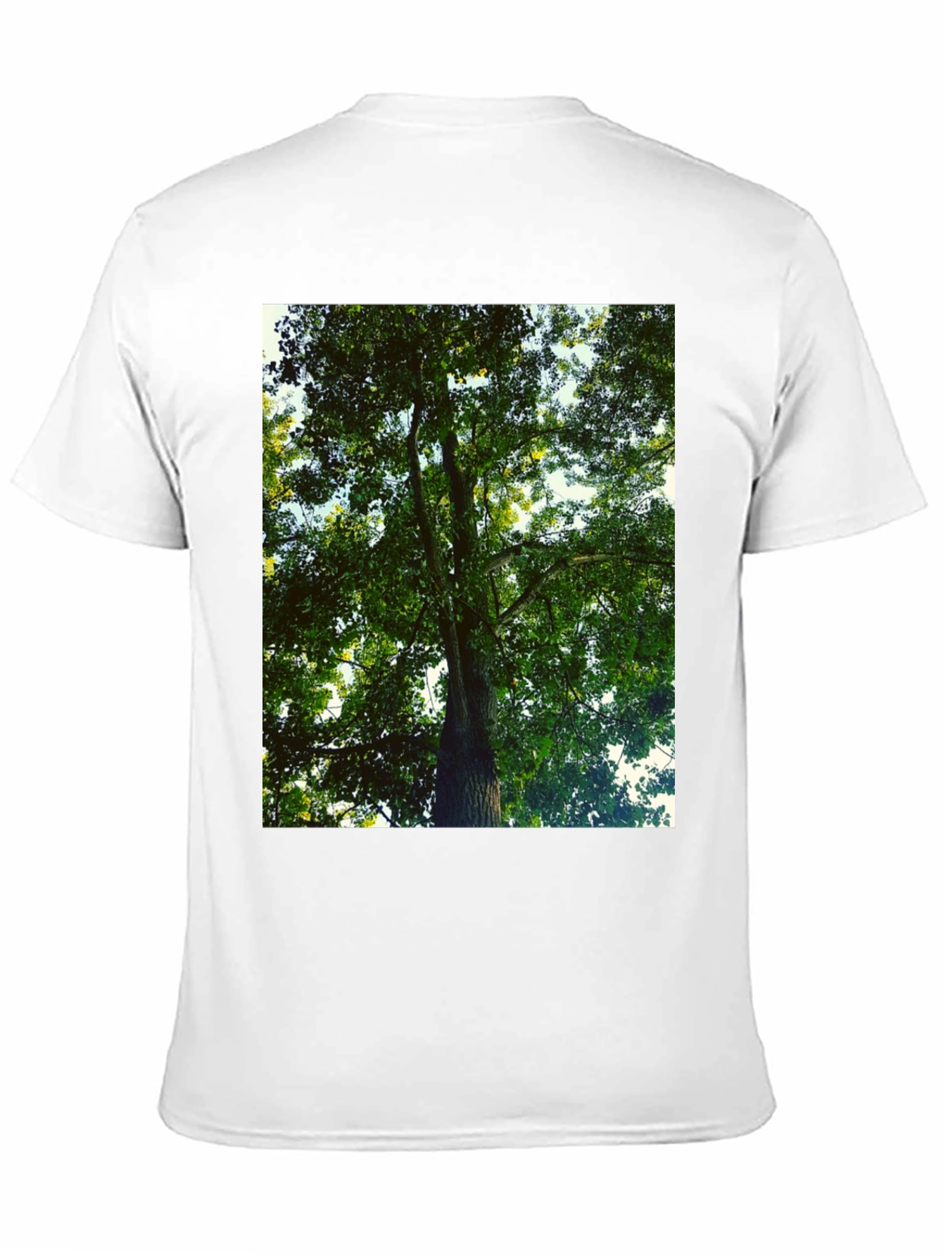 Nature Tree Graphic Tee - Black Cotton T-Shirt
