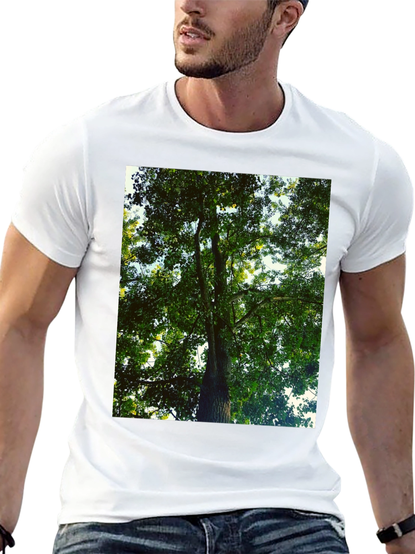 Nature Tree Graphic Tee - Black Cotton T-Shirt
