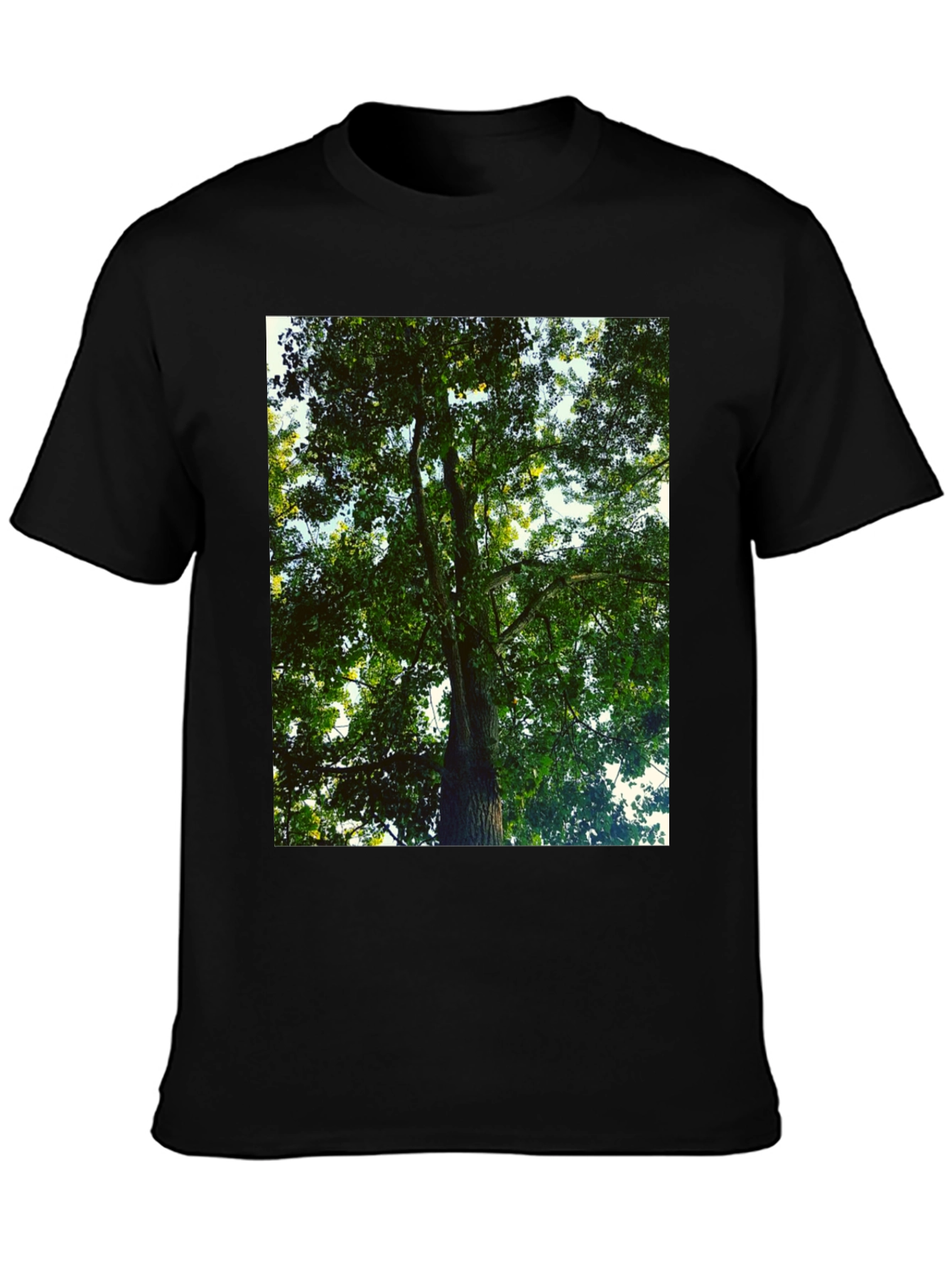Nature Tree Graphic Tee - Black Cotton T-Shirt