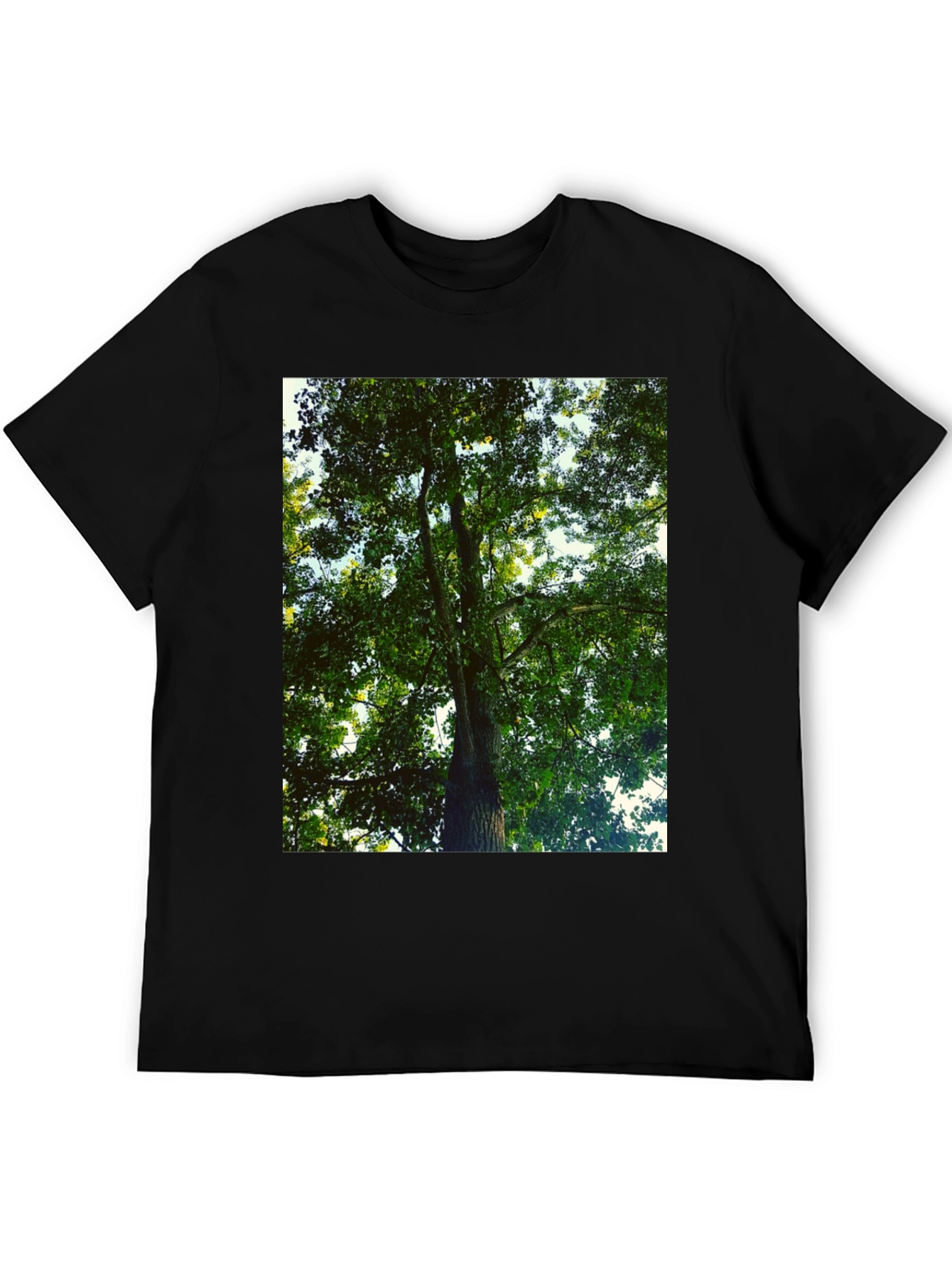 Nature Tree Graphic Tee - Black Cotton T-Shirt