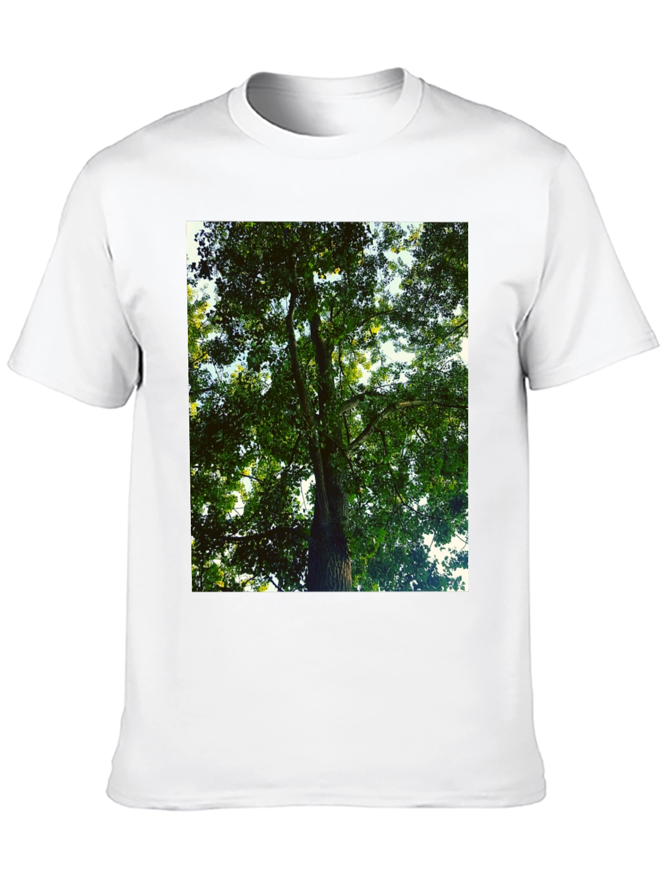 Nature Tree Graphic Tee - Black Cotton T-Shirt