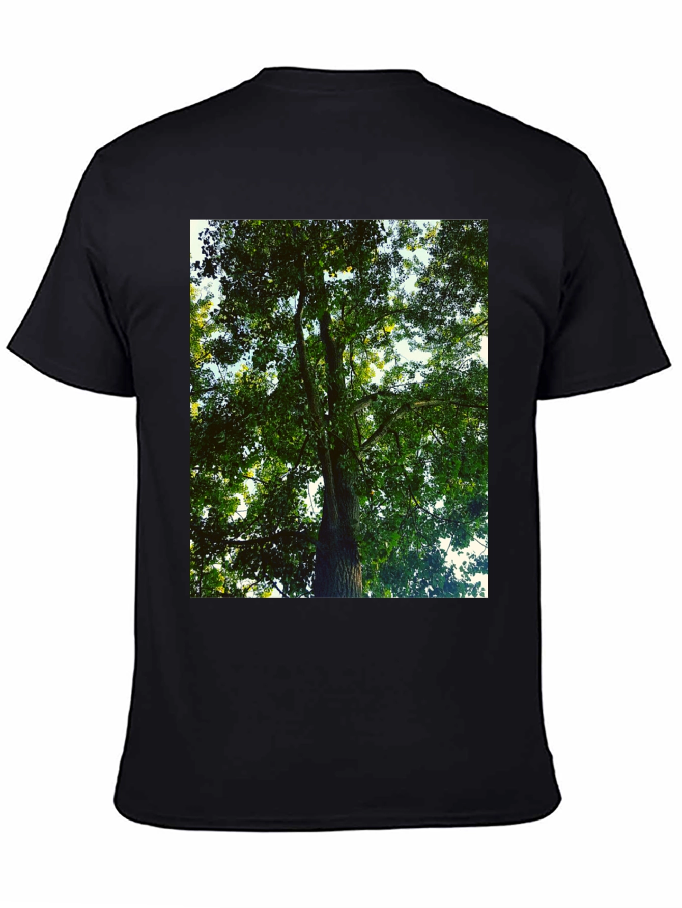 Nature Tree Graphic Tee - Black Cotton T-Shirt