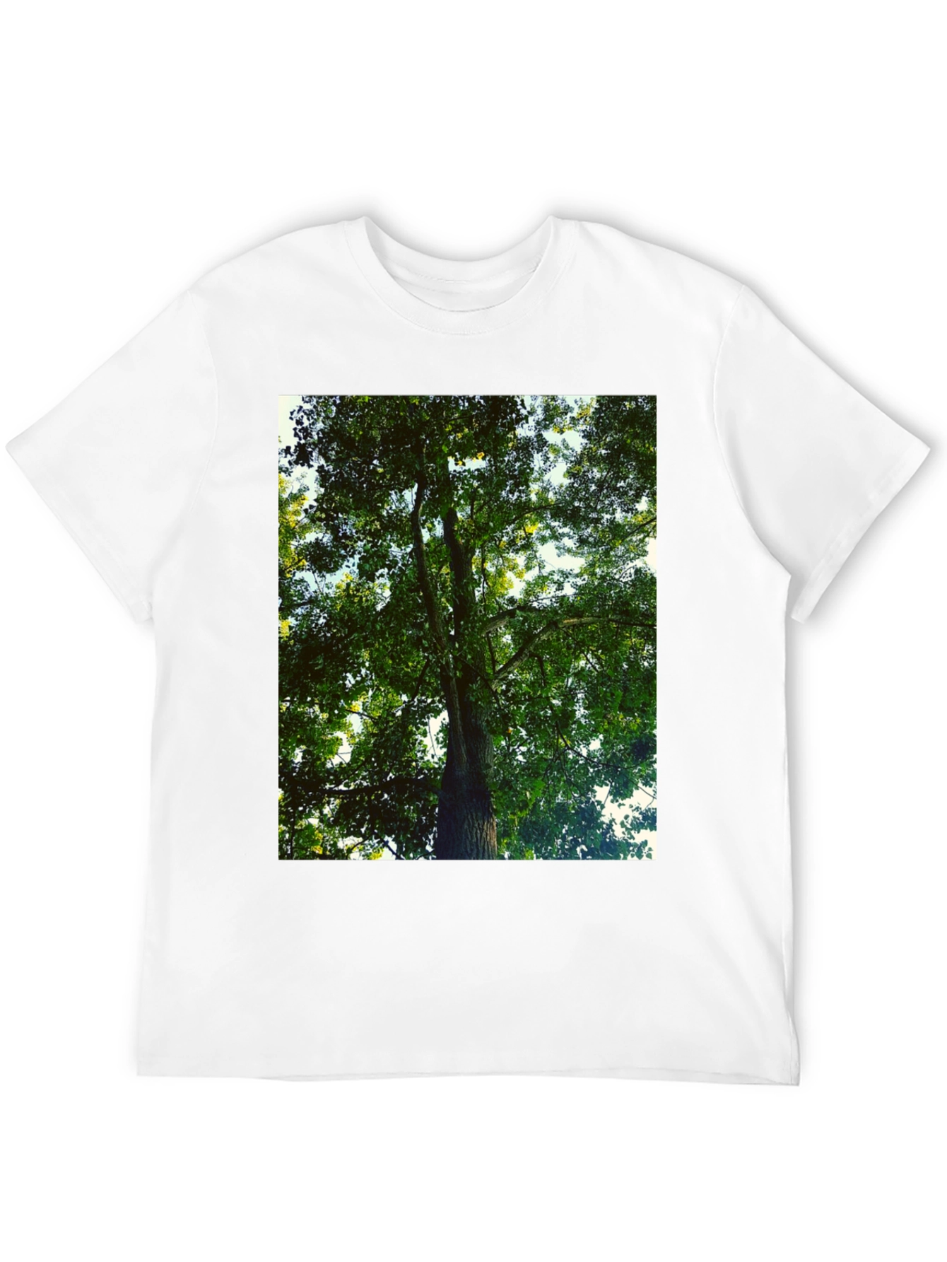 Nature Tree Graphic Tee - Black Cotton T-Shirt