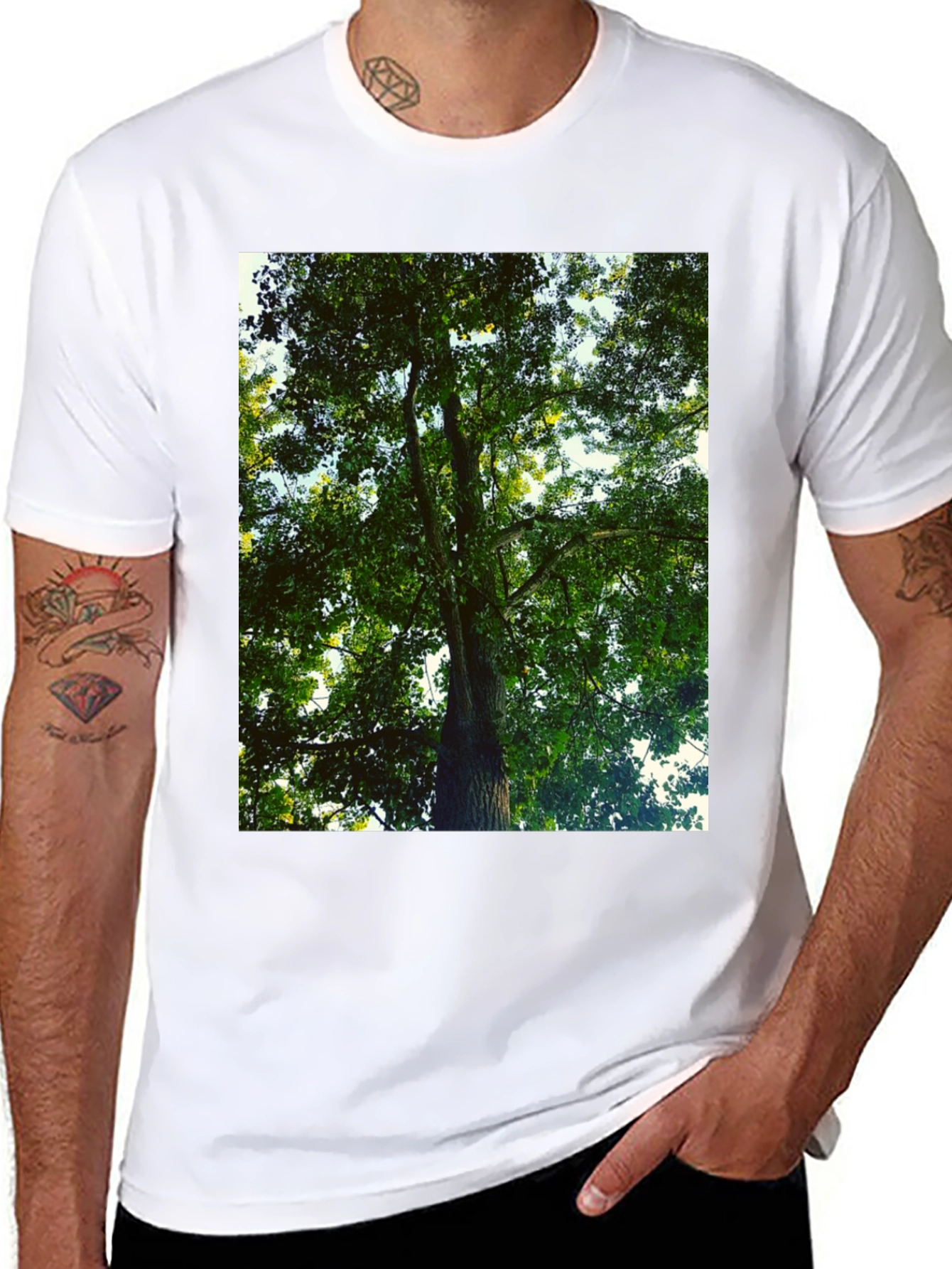 Nature Tree Graphic Tee - Black Cotton T-Shirt