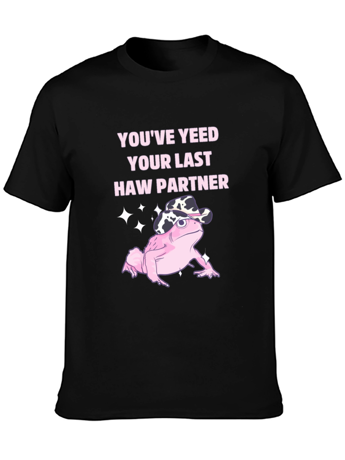 Youve Yeeted Your Last Haw Partner T-Shirt