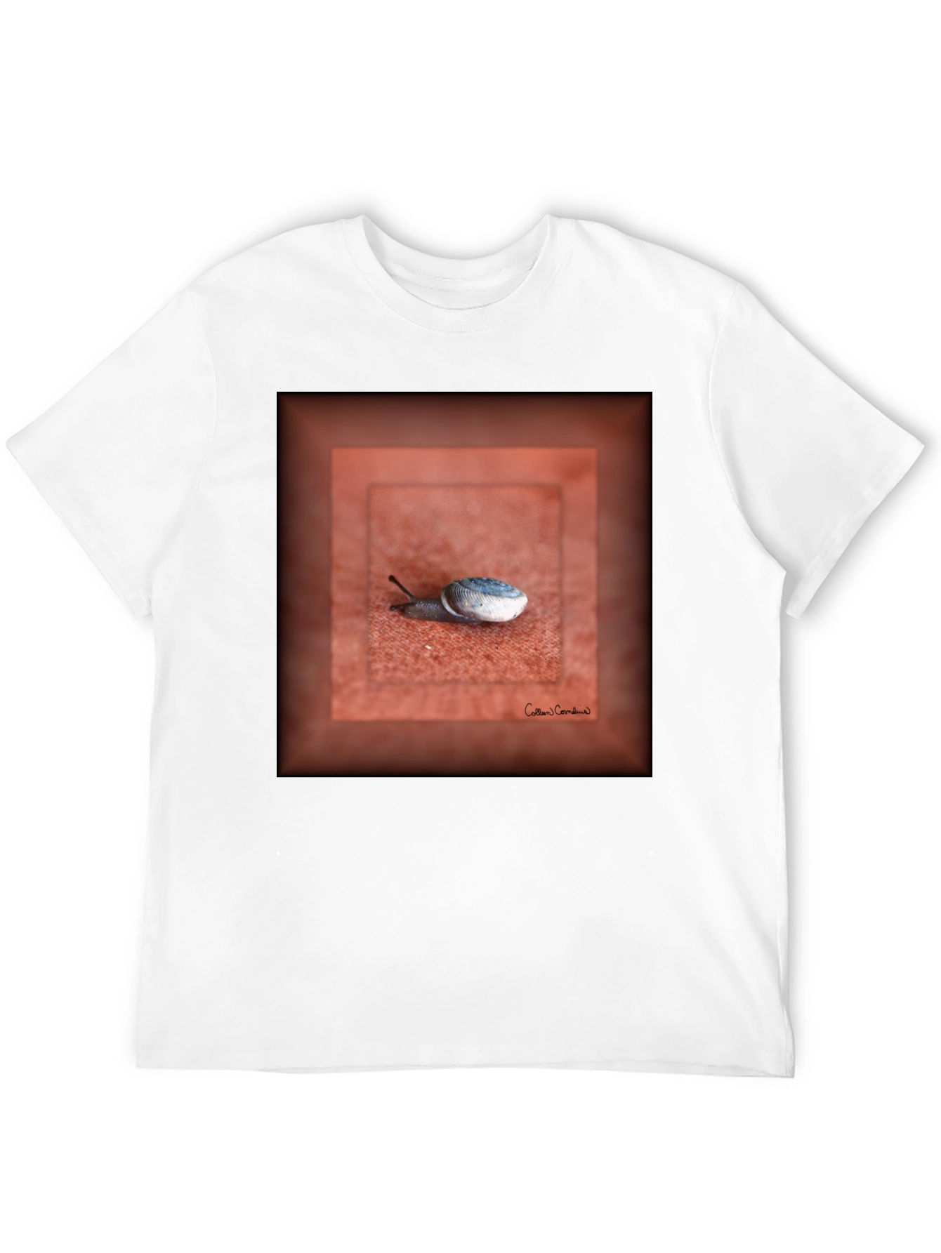Snail Art Graphic Tee - Unique Unisex T-Shirt