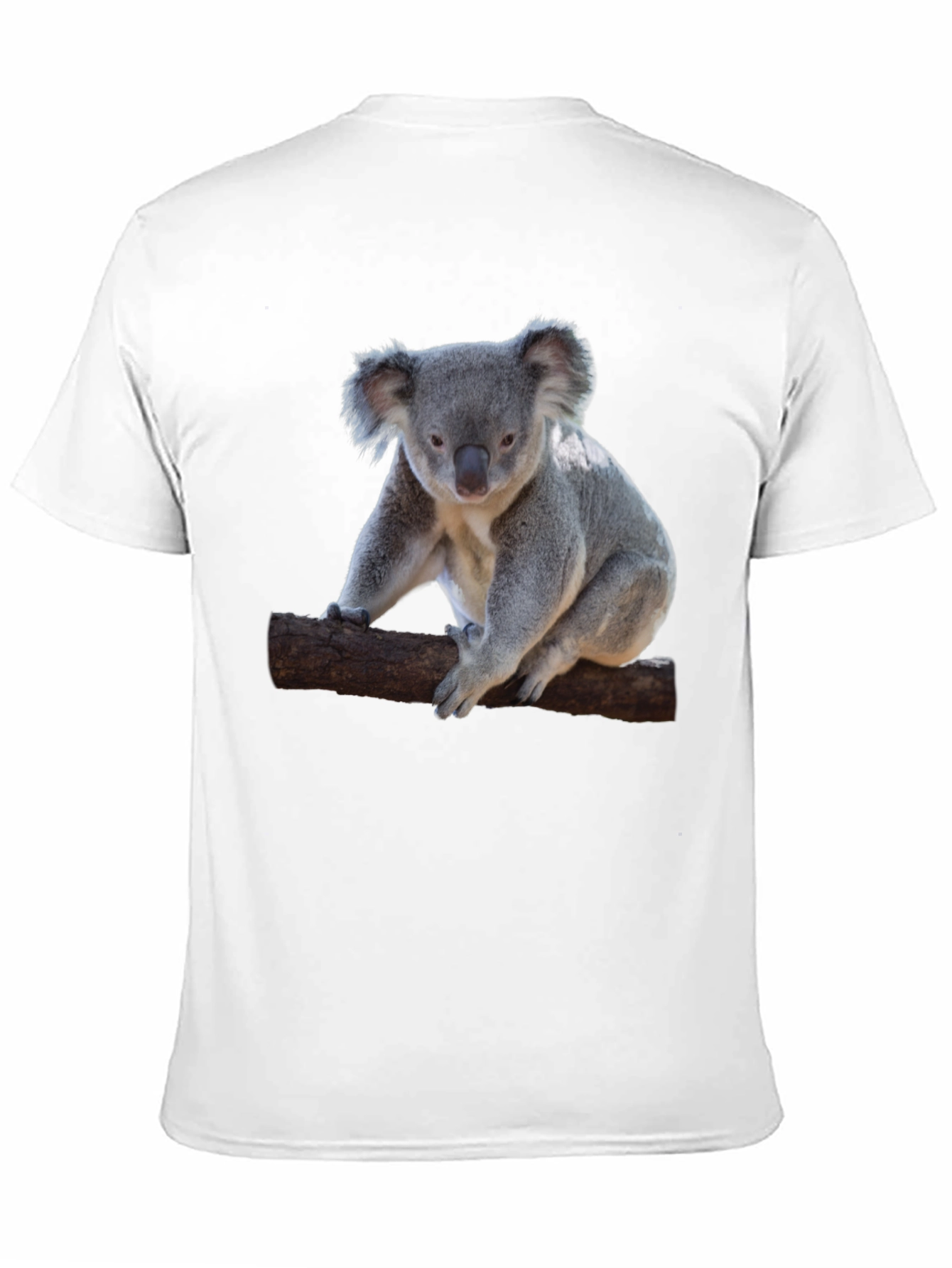 Koala Bear Graphic Print Mens T-Shirt