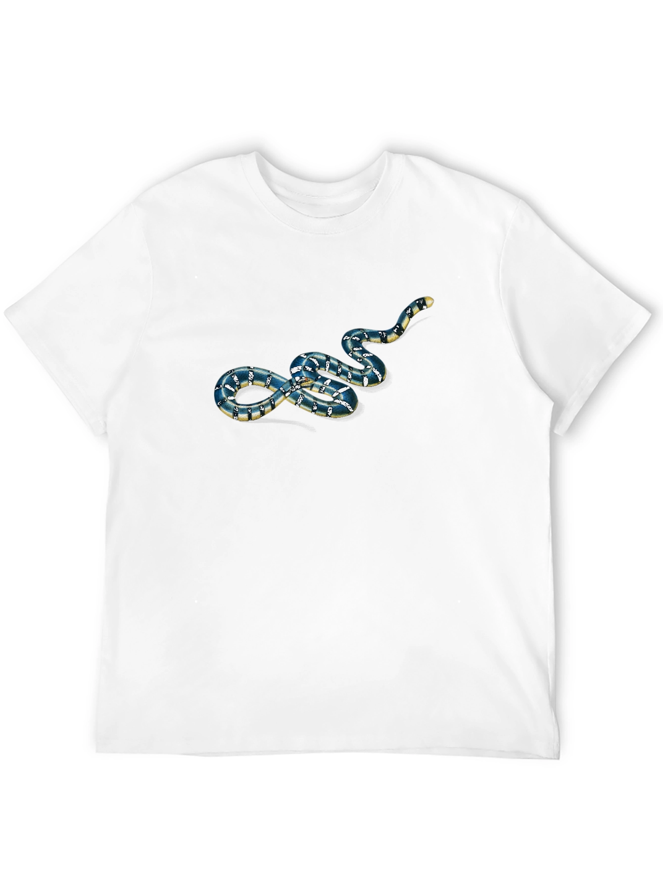 Snake Graphic Print Black T-Shirt
