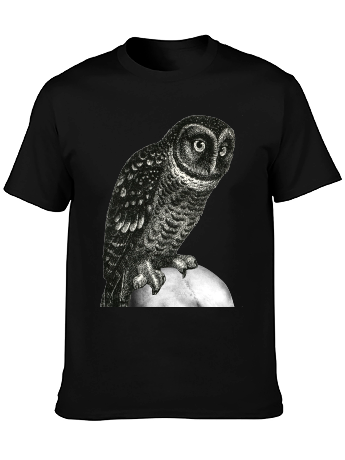 Owl Moon Graphic Tee - Black Cotton T-Shirt