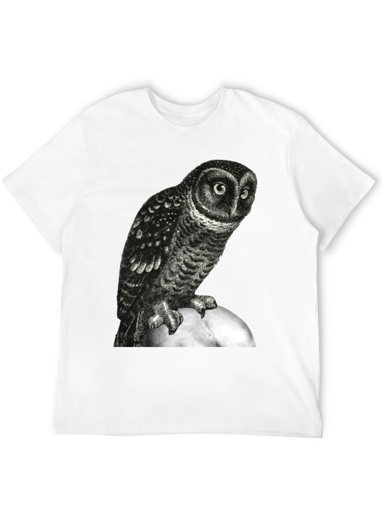 Owl Moon Graphic Tee - Black Cotton T-Shirt