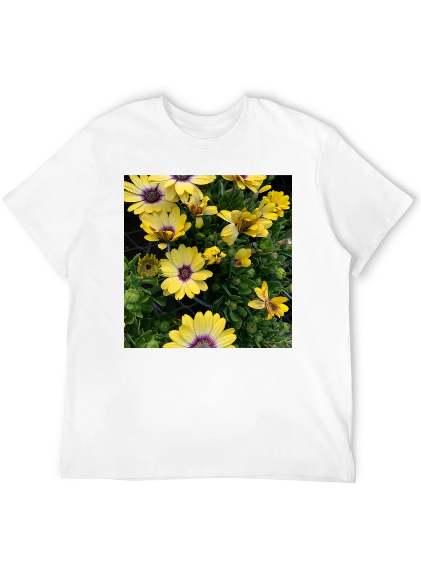 Floral Graphic T-Shirt - Yellow Daisy Print