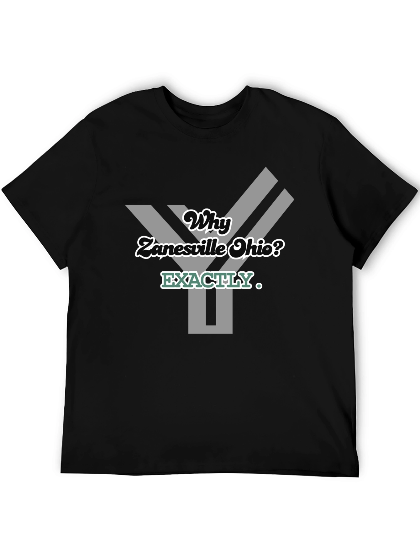 Why Zanesville Ohio? Graphic T-Shirt