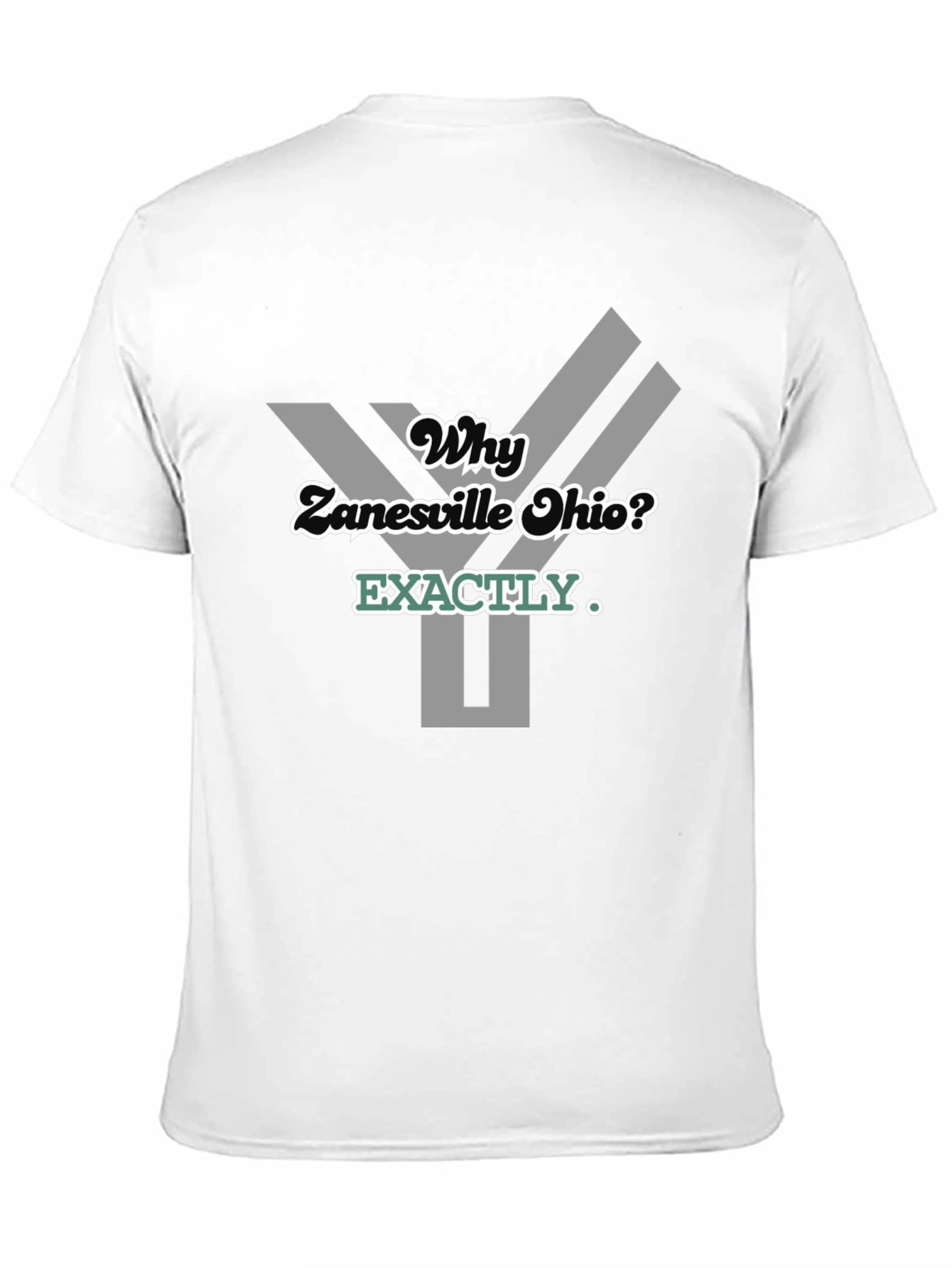 Why Zanesville Ohio? Graphic T-Shirt