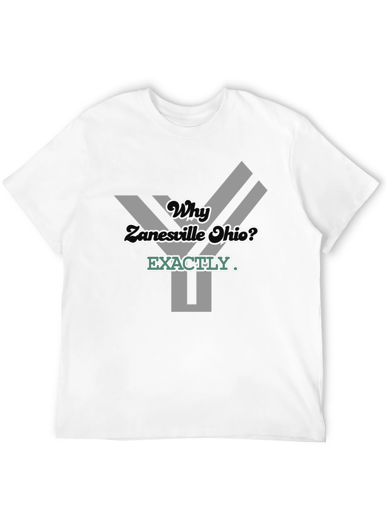 Why Zanesville Ohio? Graphic T-Shirt