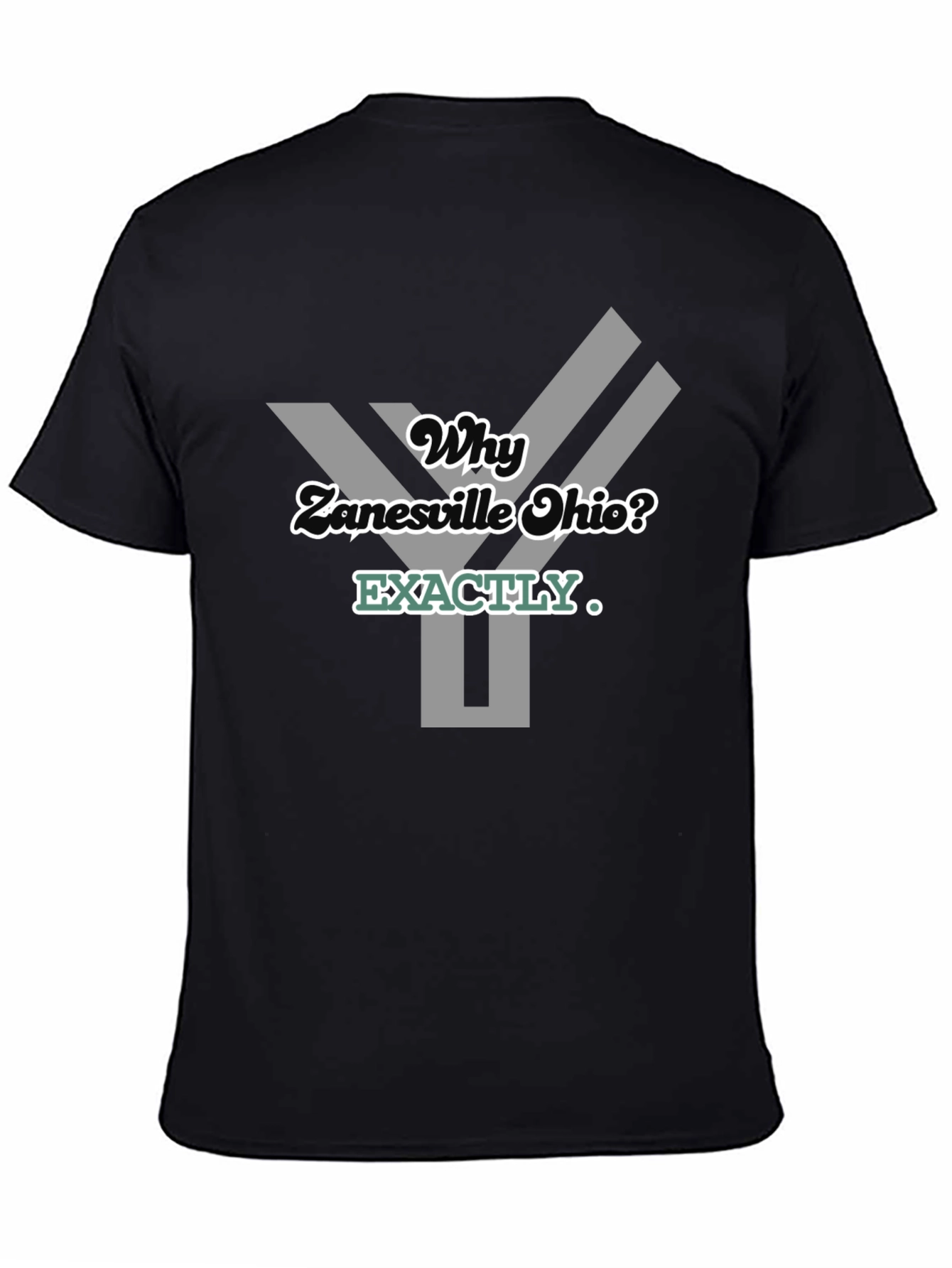 Why Zanesville Ohio? Graphic T-Shirt