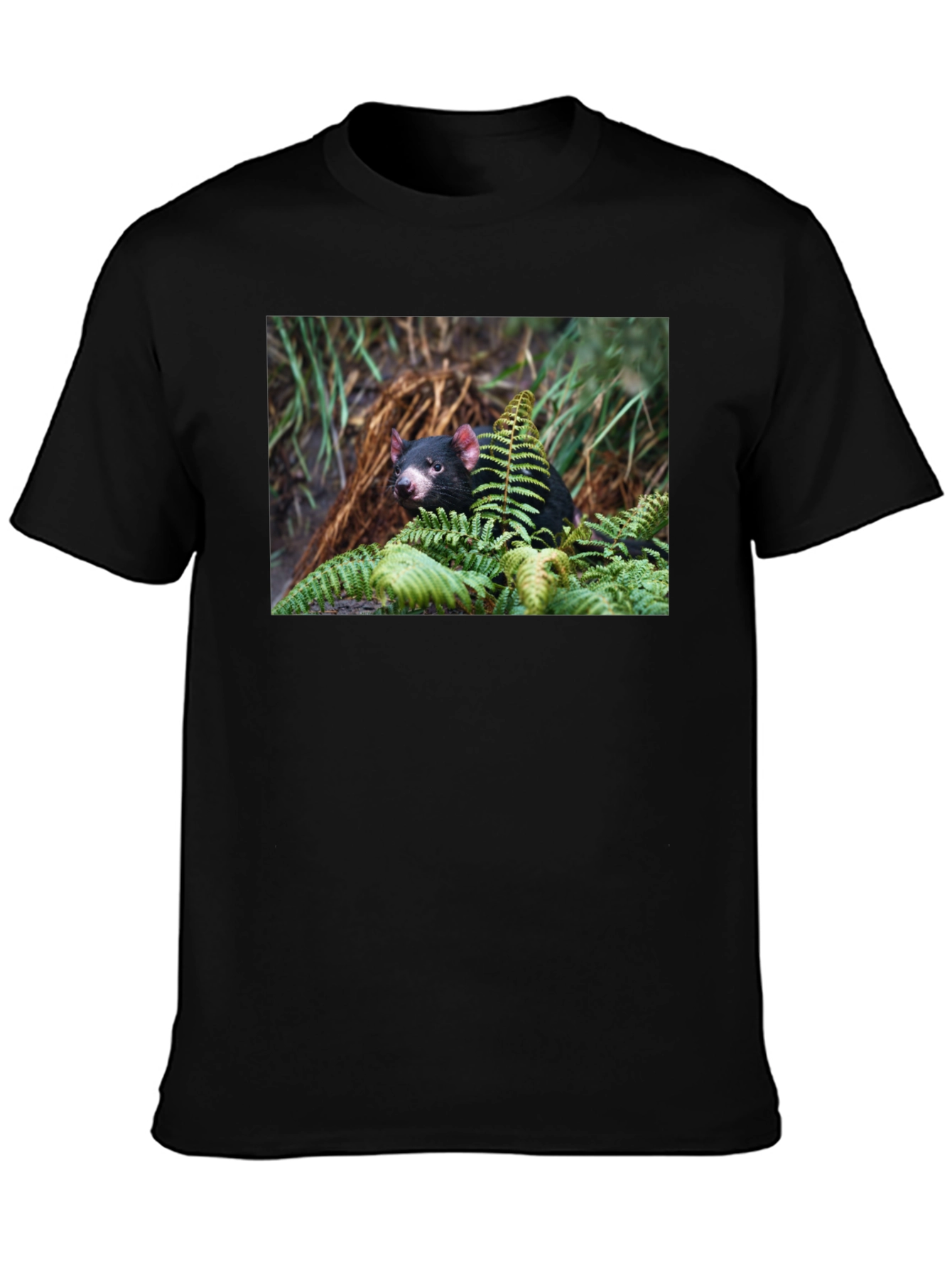 Tasmanian Devil T-Shirt - Wildlife Tee