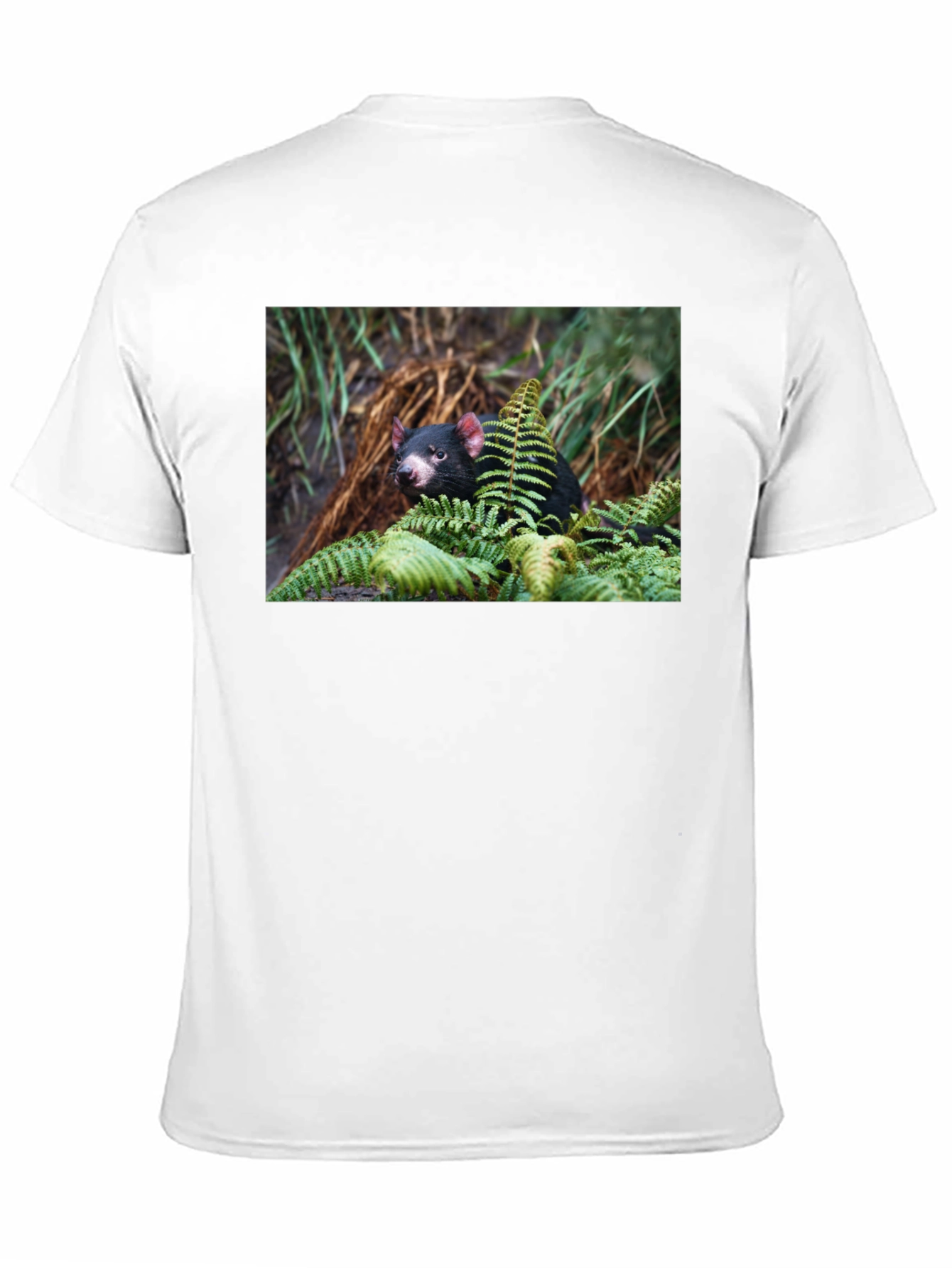 Tasmanian Devil T-Shirt - Wildlife Tee