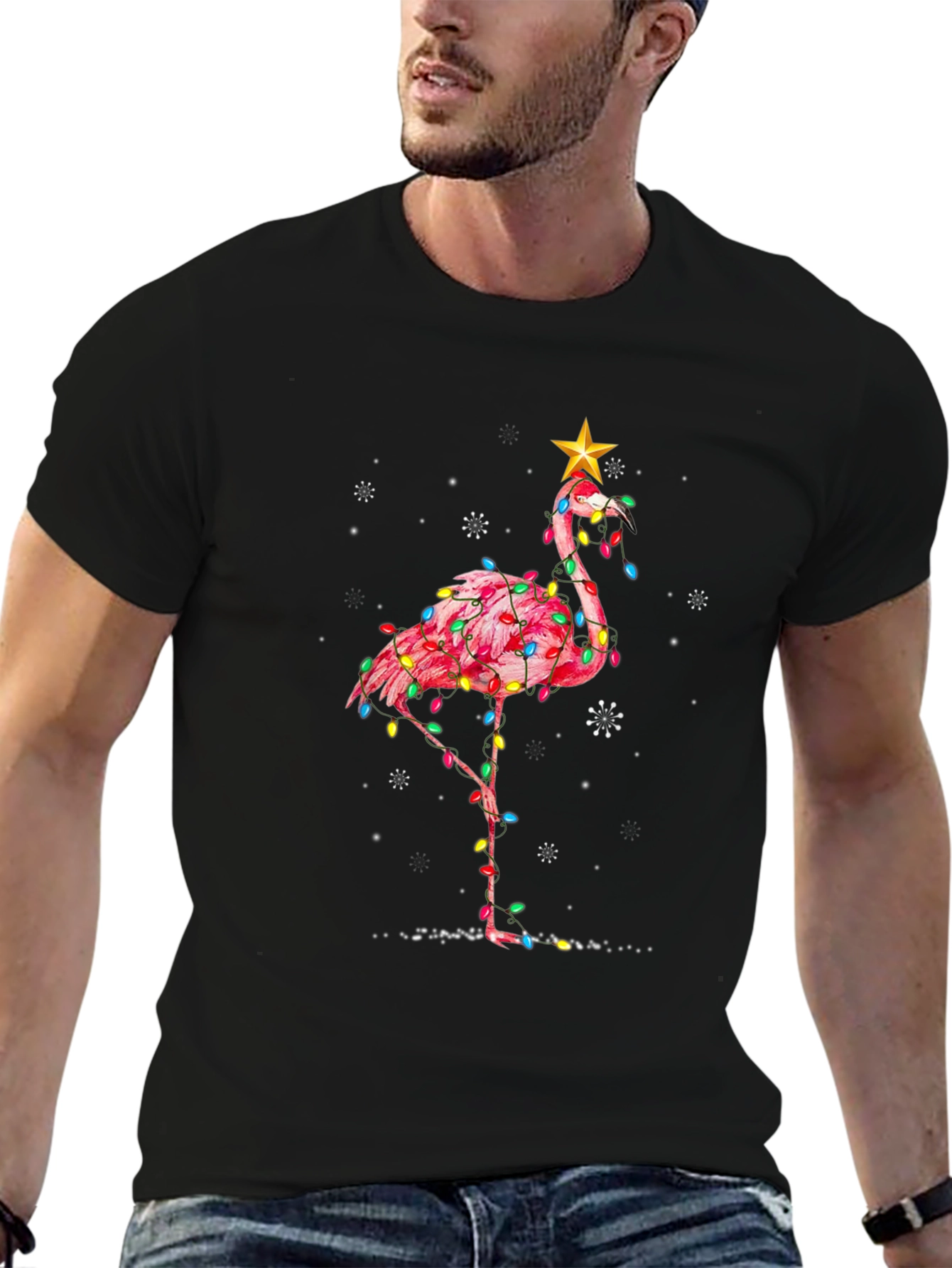 Festive Flamingo T-Shirt