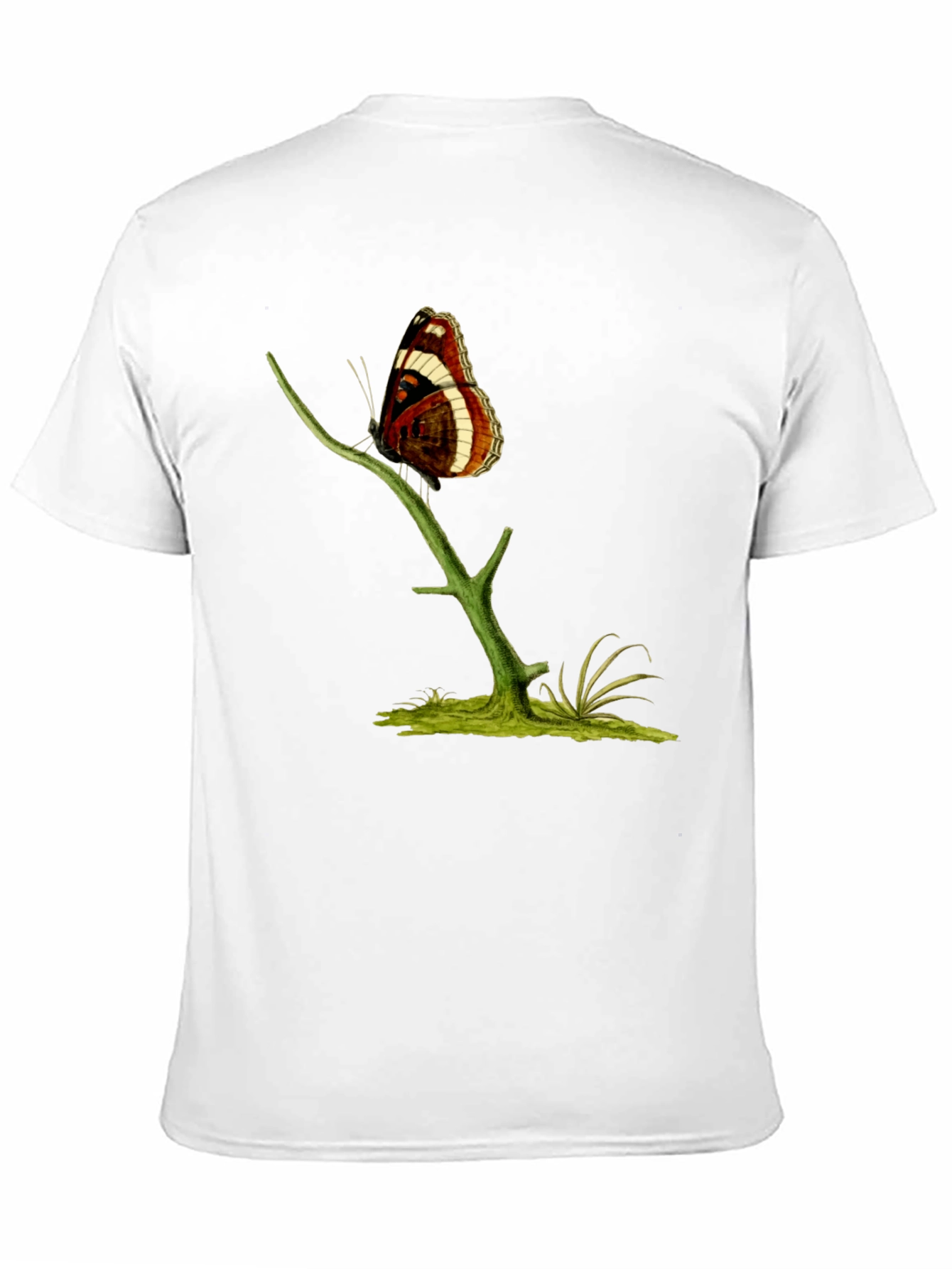 Butterfly Branch Graphic T-Shirt