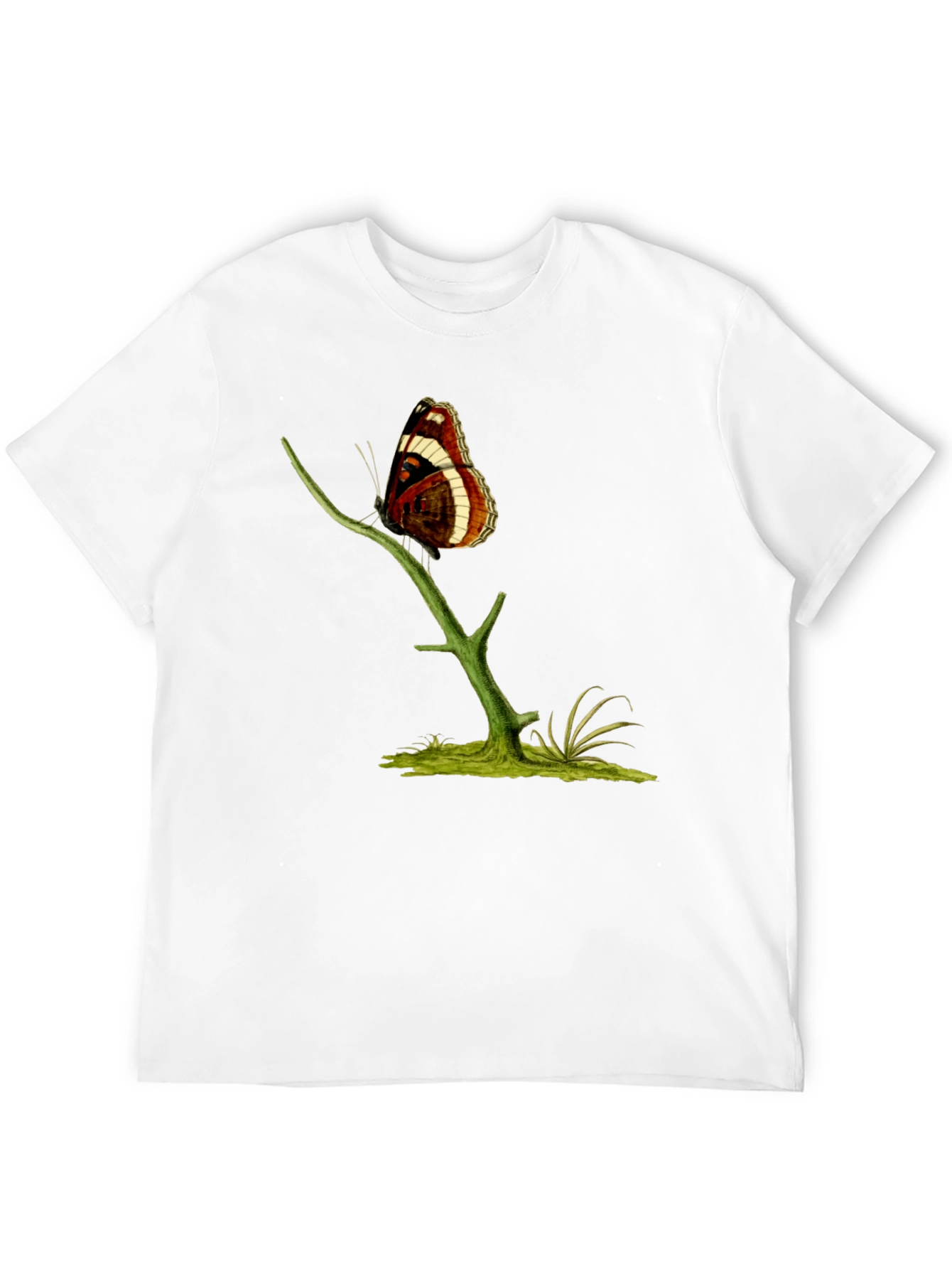 Butterfly Branch Graphic T-Shirt