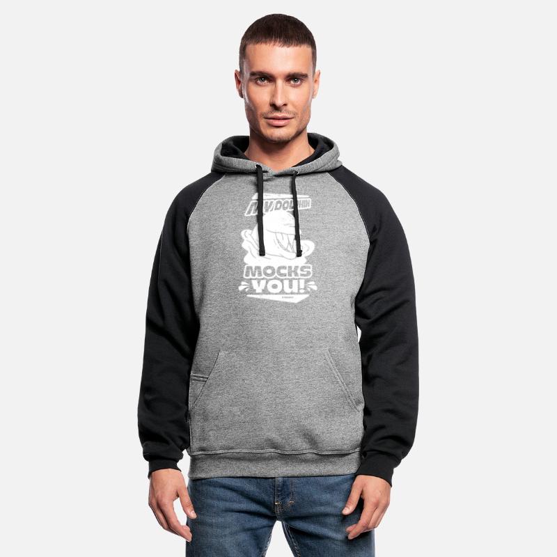 Dolphin dolphin school Mammal Sea Delfinarium