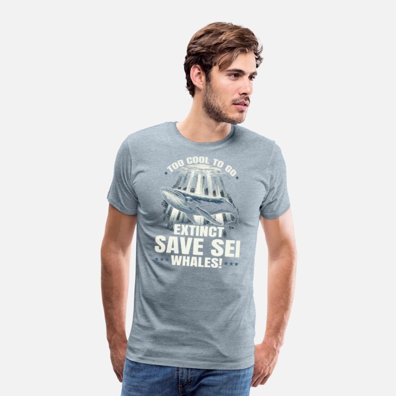 Endangered Species Sei Whale Animal Rights