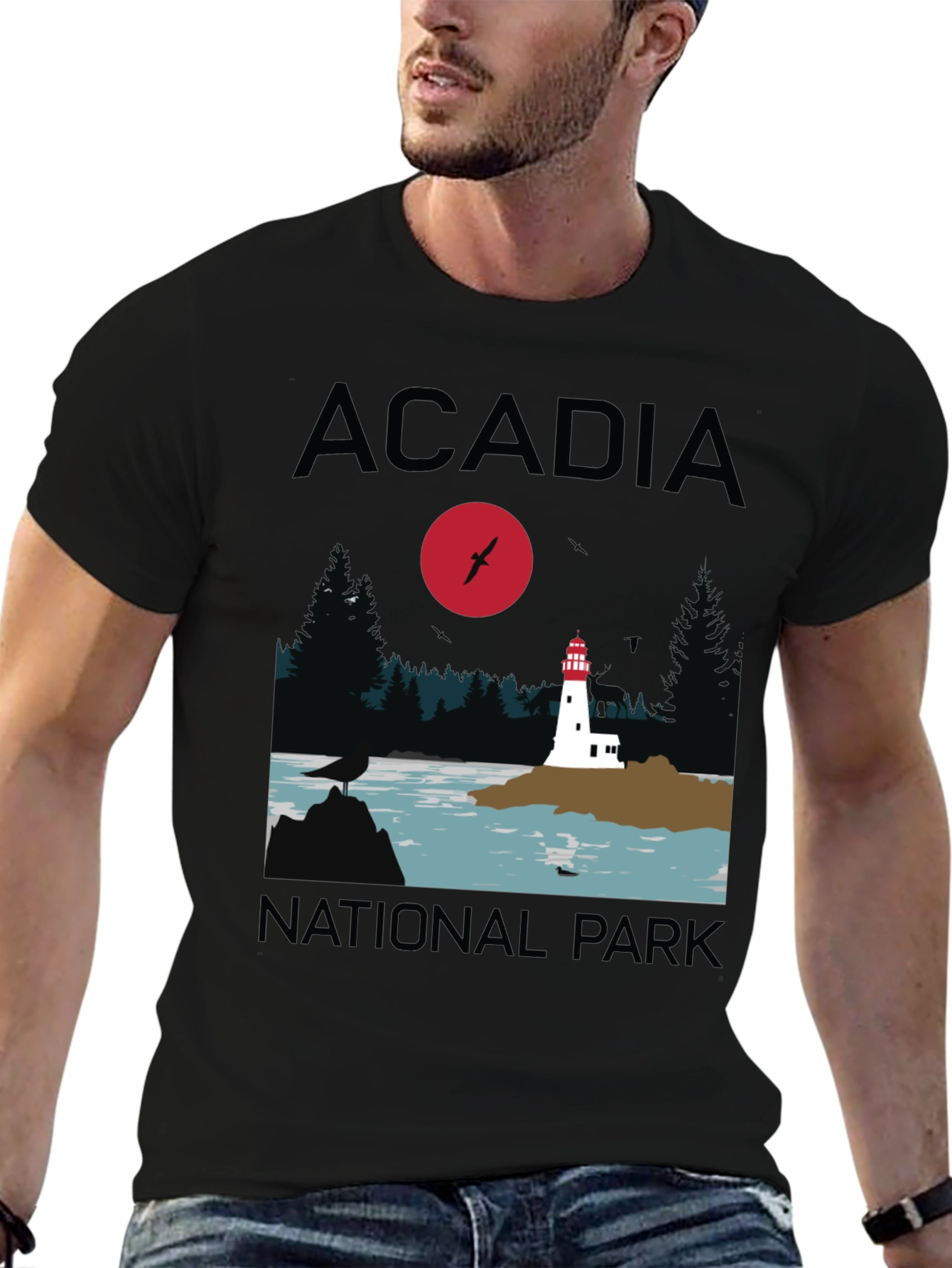 Acadia National Park Graphic T-Shirt