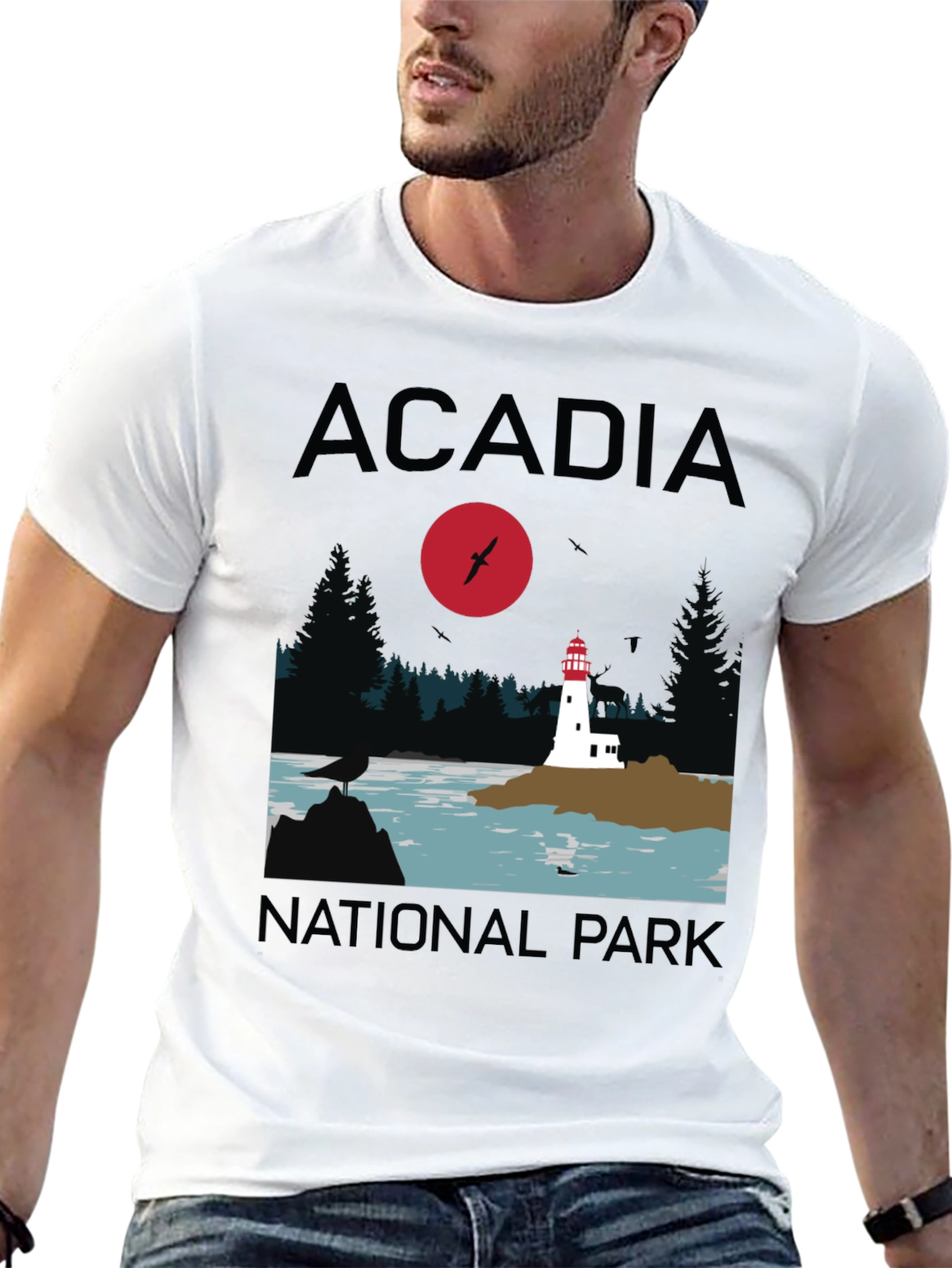 Acadia National Park Graphic T-Shirt