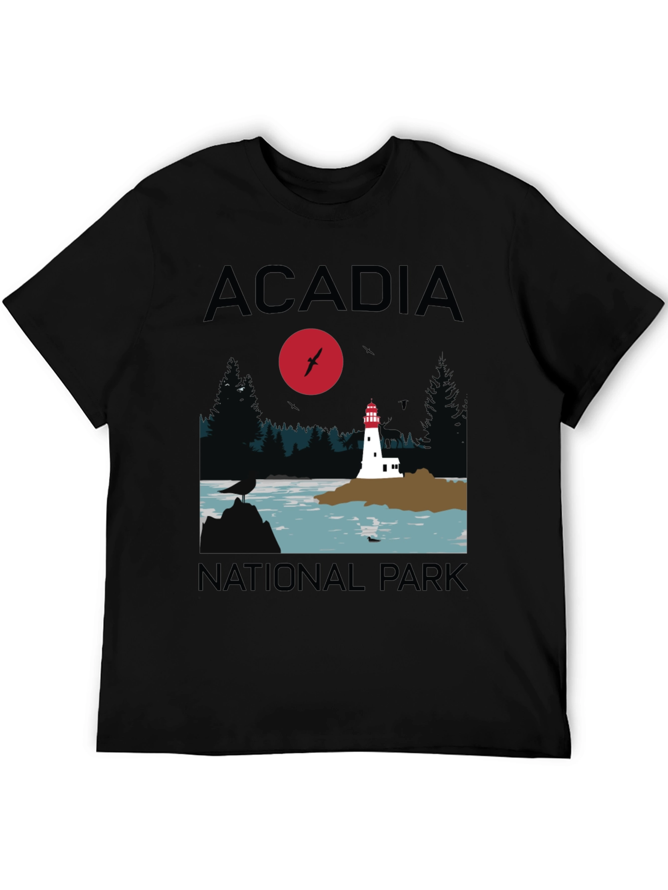 Acadia National Park Graphic T-Shirt