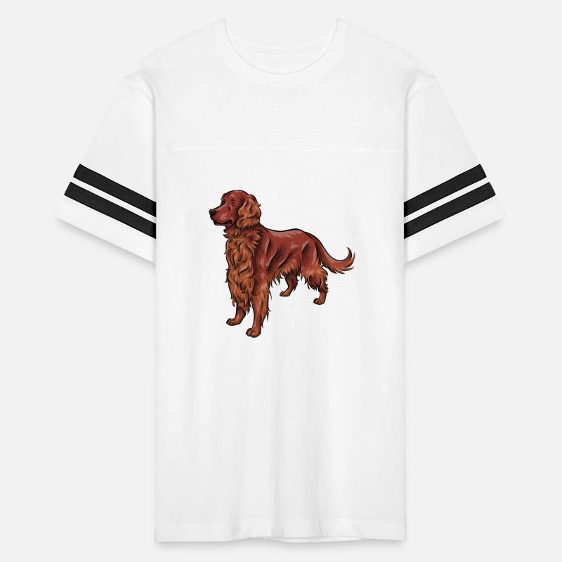 Irish Red Setter Dog