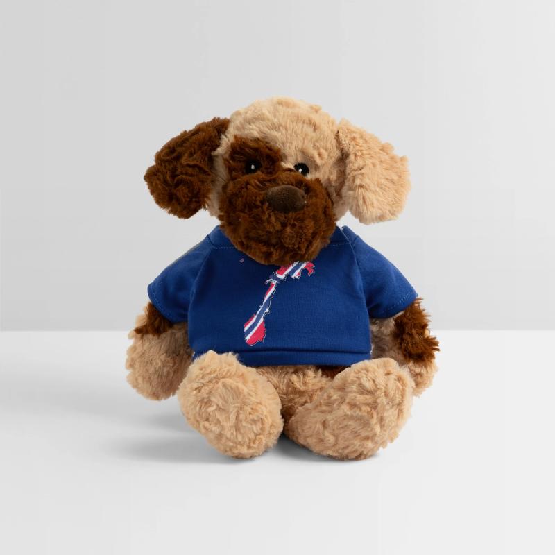 Norway Flag in Norway Map