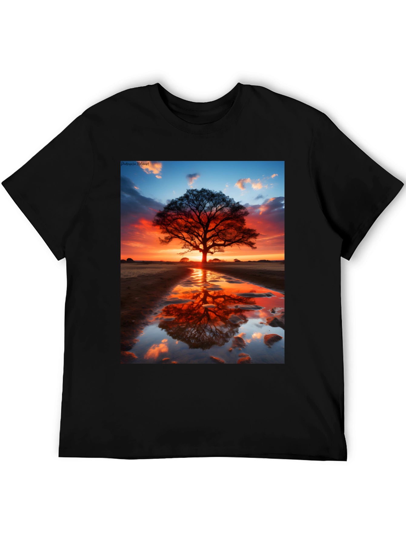 Sunset Tree Reflection Graphic Tee