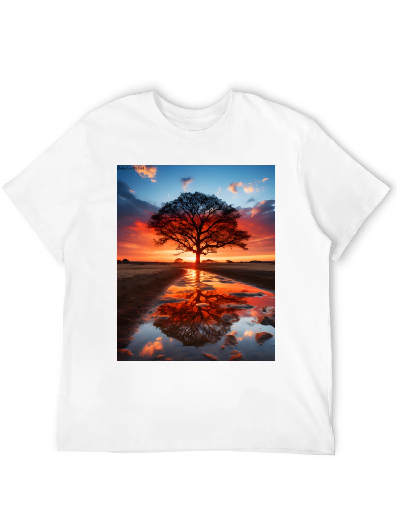 Sunset Tree Reflection Graphic Tee