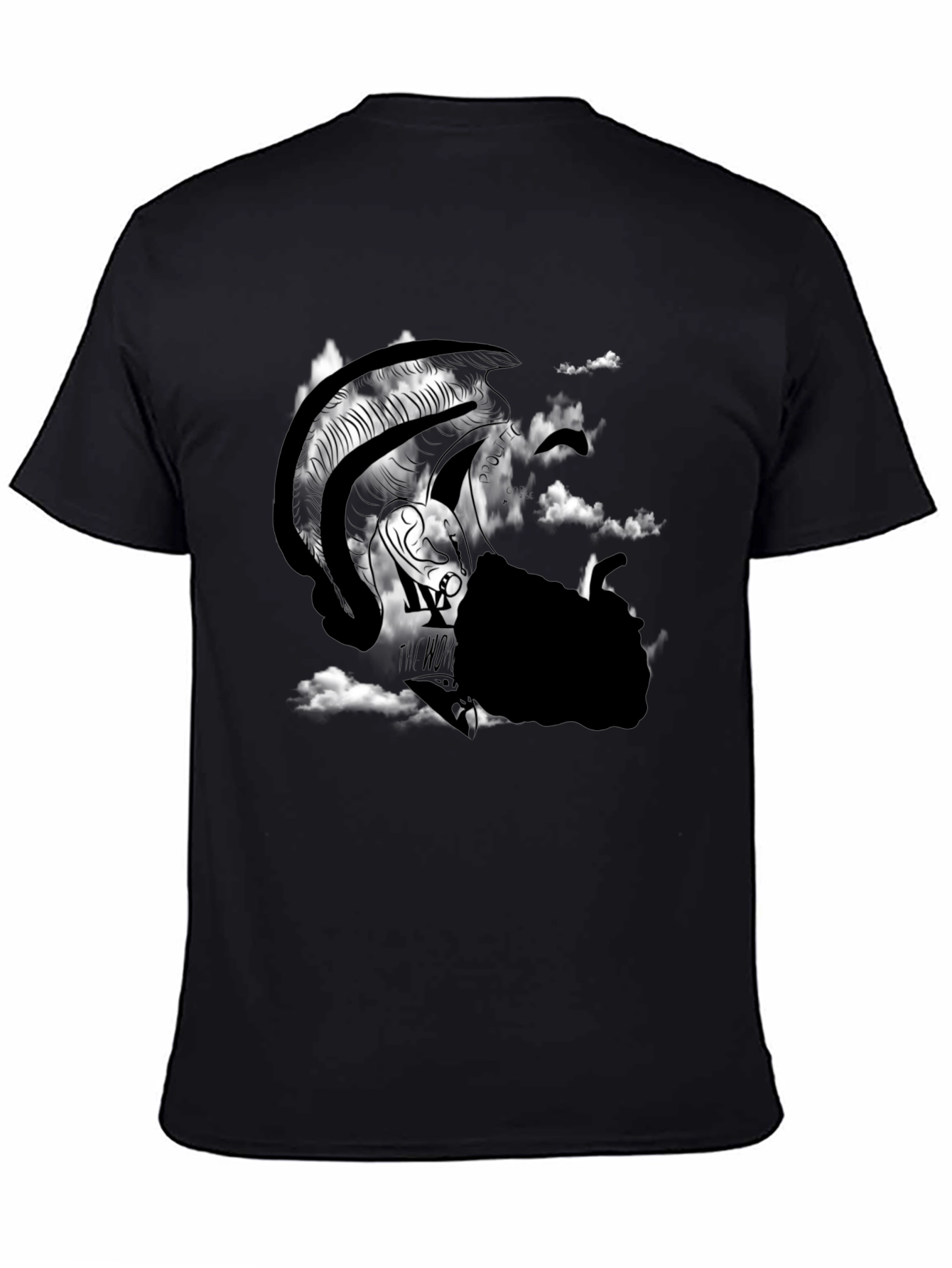 Graphic T-Shirt: Warrior in Clouds