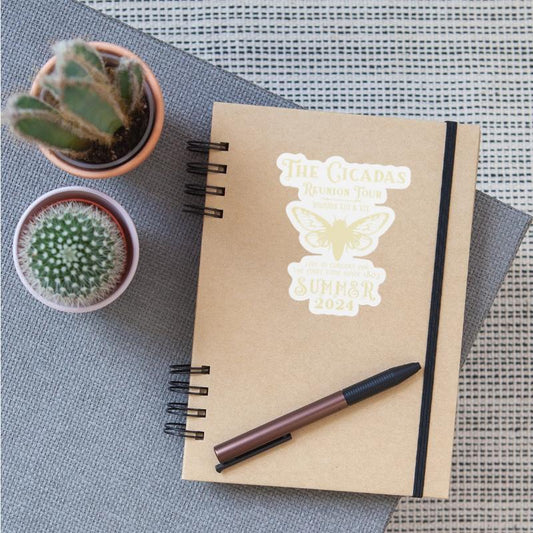 Reunion Tour 2024 Concert