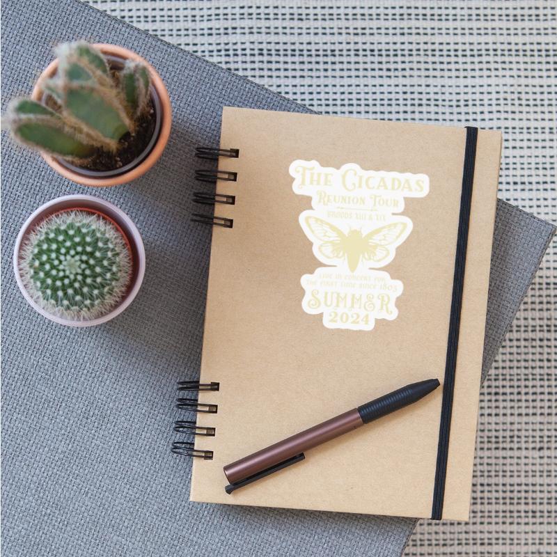 Reunion Tour 2024 Concert