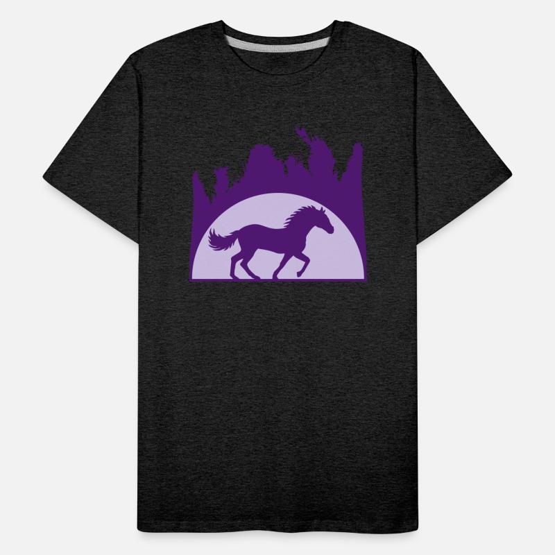 sun beach palm horse