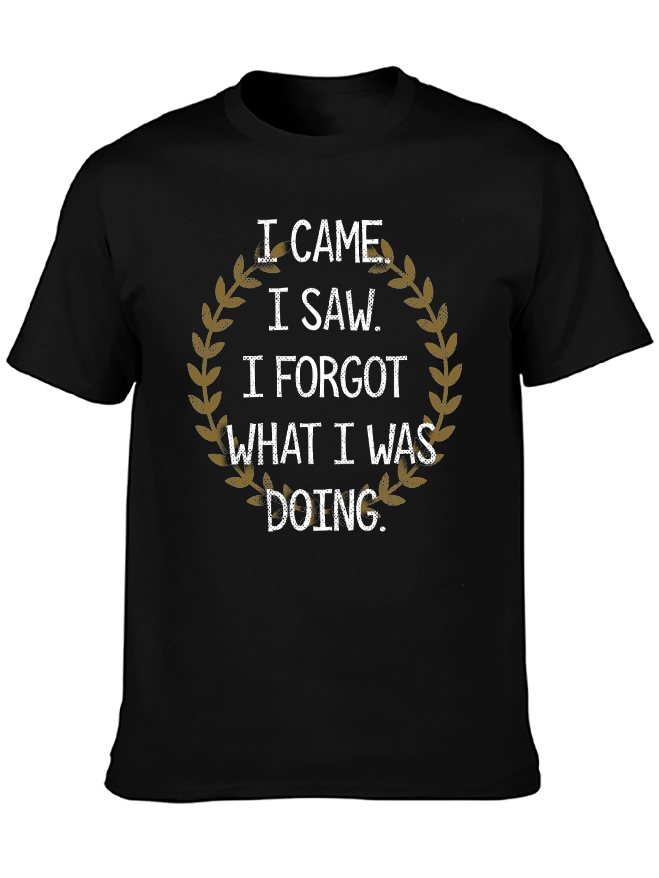 I Came I Saw I Forgot T-Shirt
