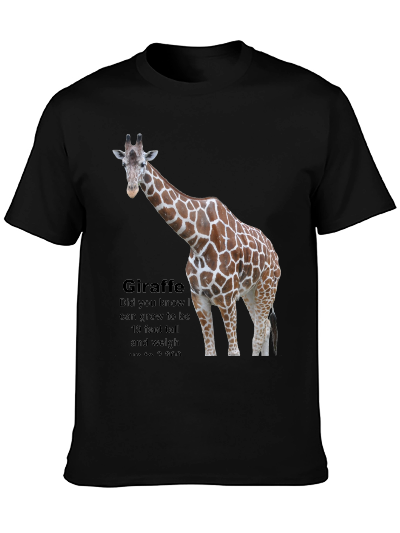 Giraffe Fact T-Shirt
