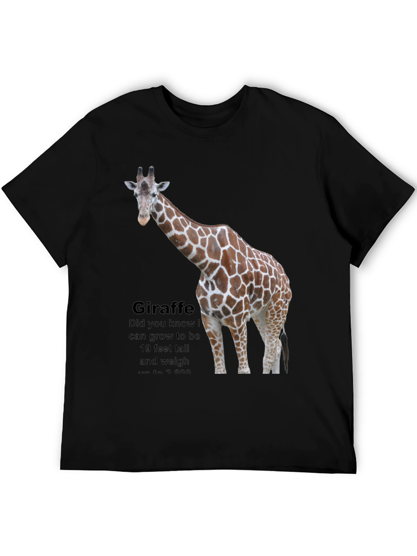Giraffe Fact T-Shirt