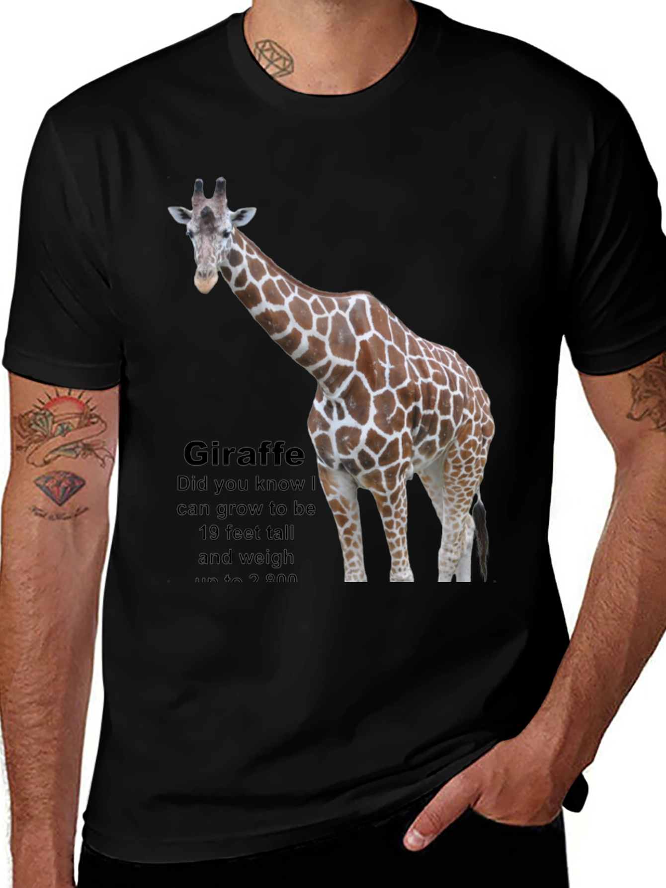 Giraffe Fact T-Shirt