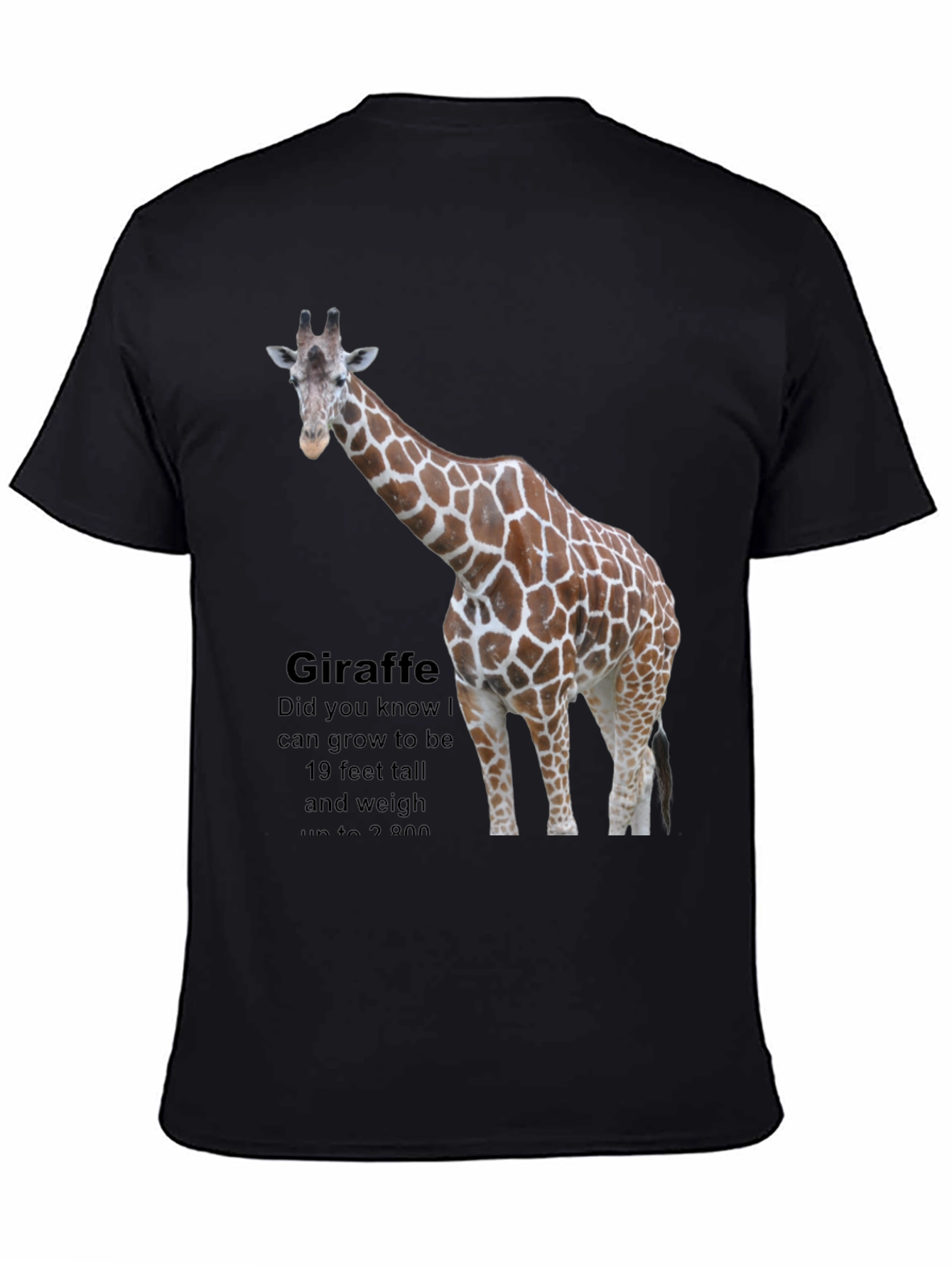 Giraffe Fact T-Shirt