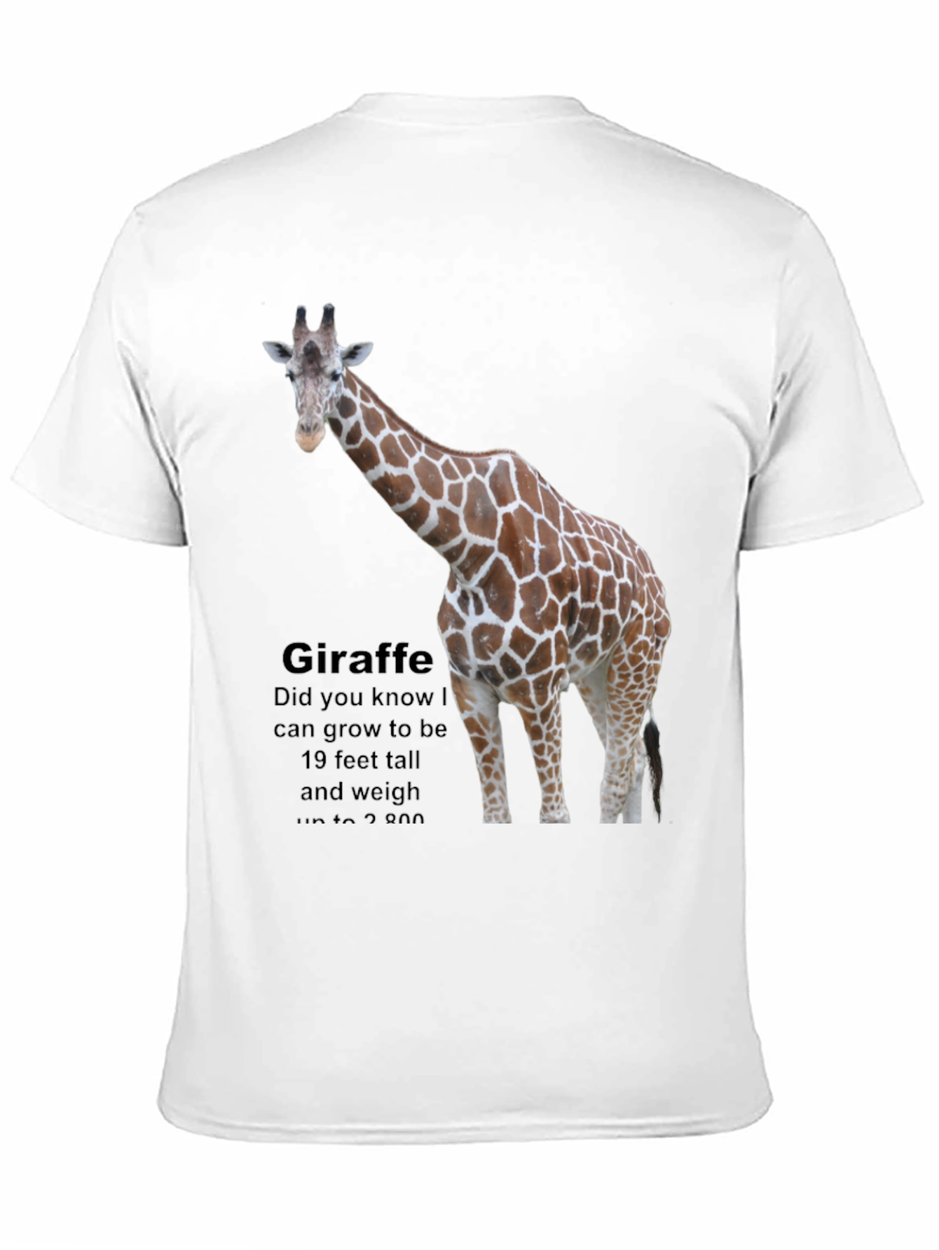 Giraffe Fact T-Shirt