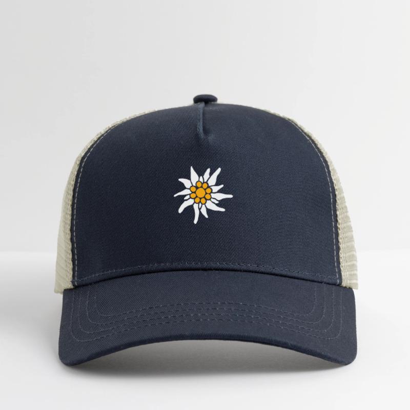 White Alps Edelweiss Flower Mountain Hiking Flower